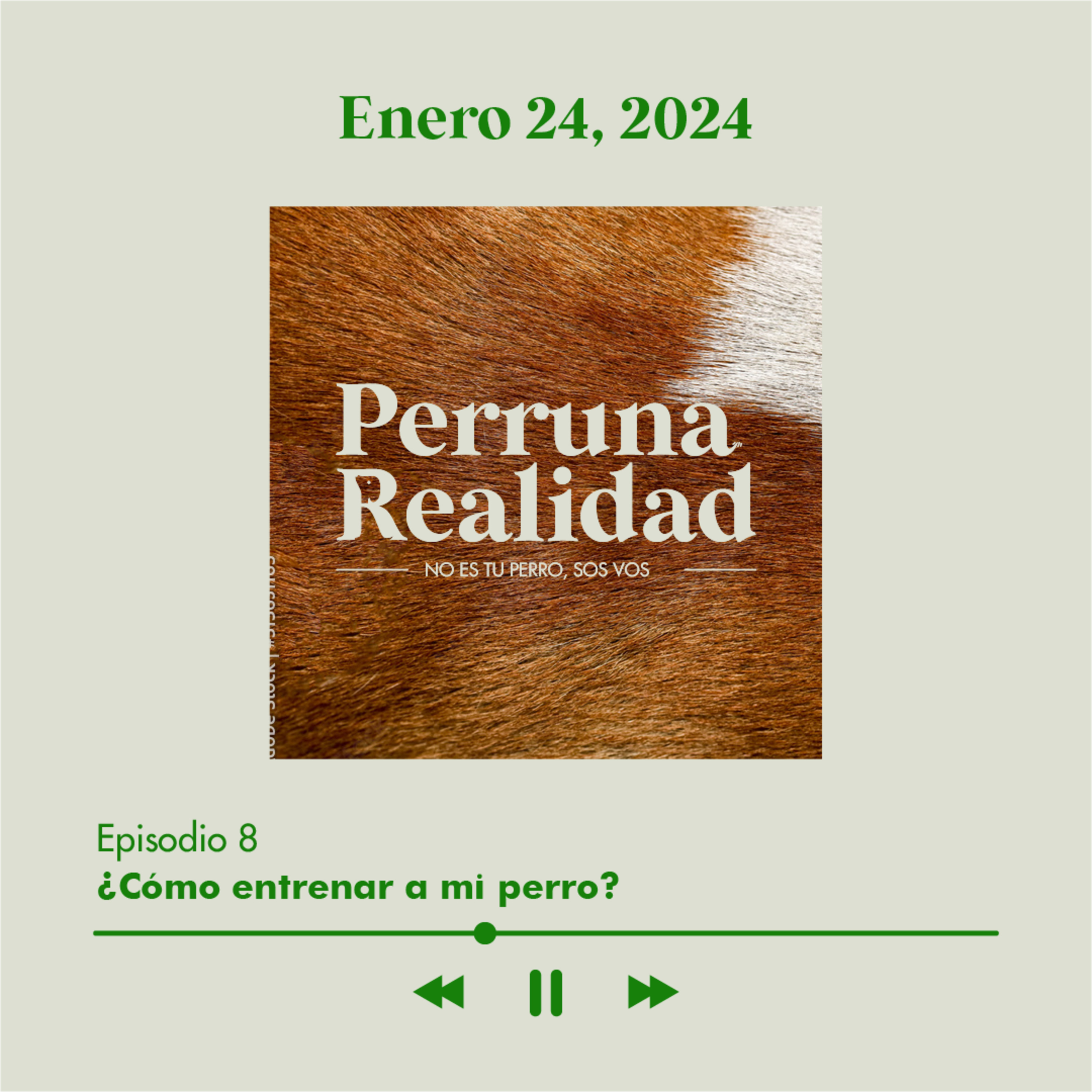 Perruna Realidad#8: ¿Cómo entrenar a mi perro? episode artwork