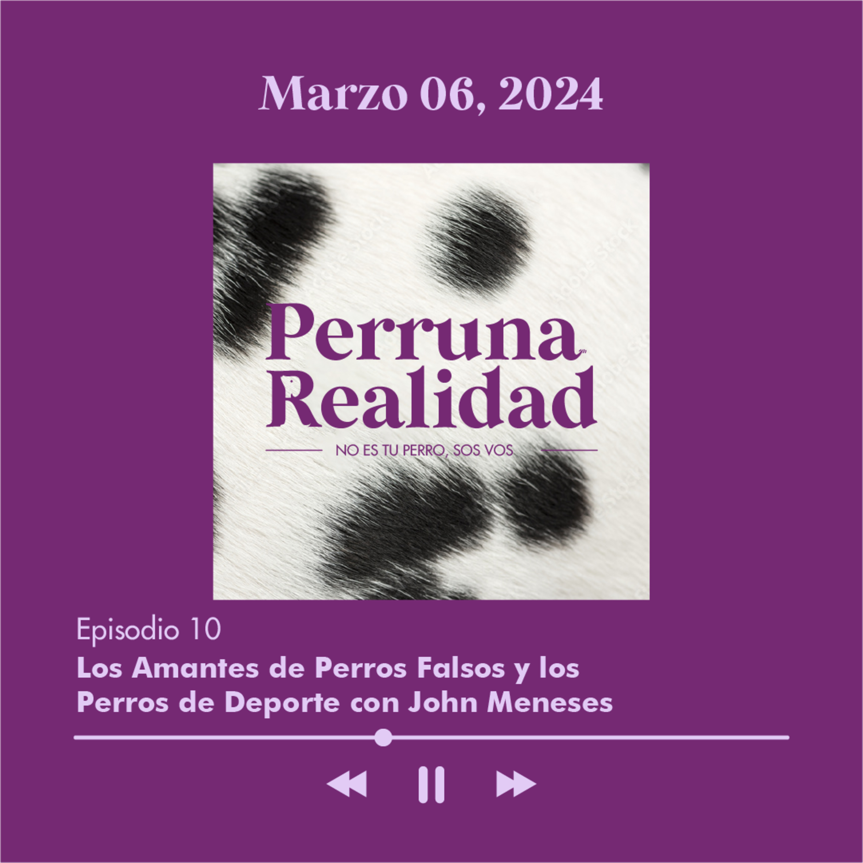 Perruna Realidad#10: Los Amantes de Perros Falsos y los Perros de Deporte con John Meneses episode artwork