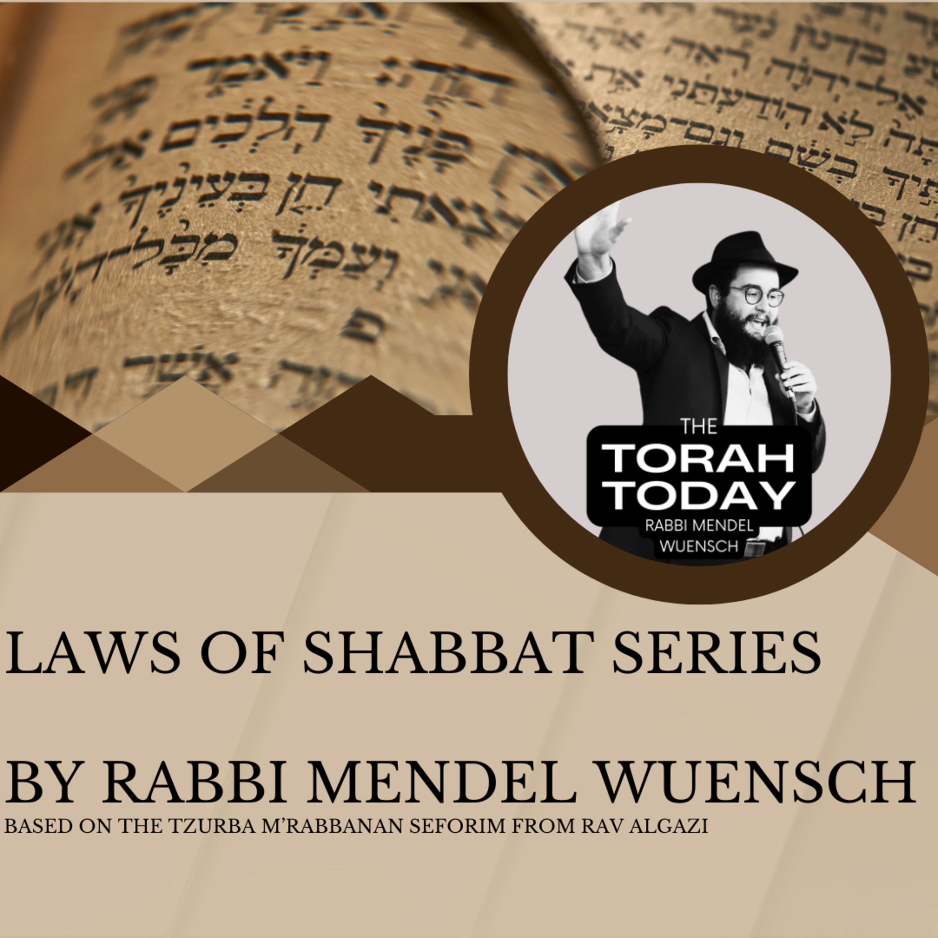 Laws of Shabbat: Leaving Food In Electric Oven