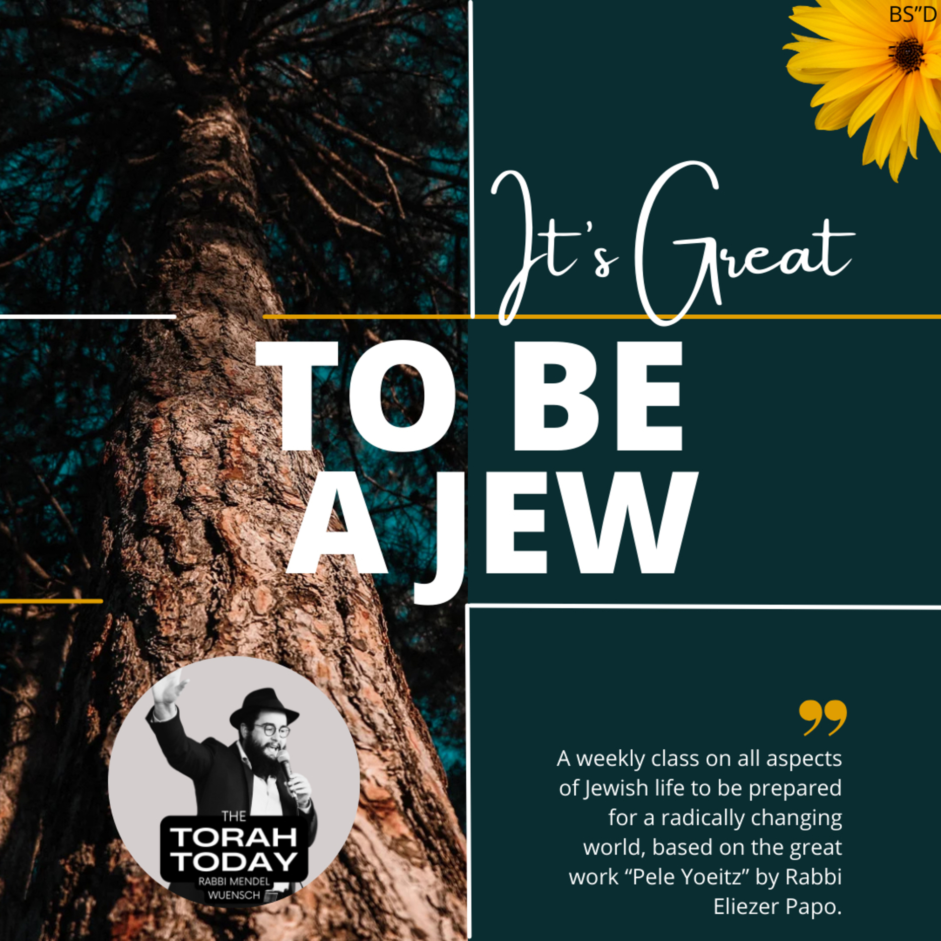 Pele Yoeitz: Lesson 32 - Should I Make Aliyah? episode artwork
