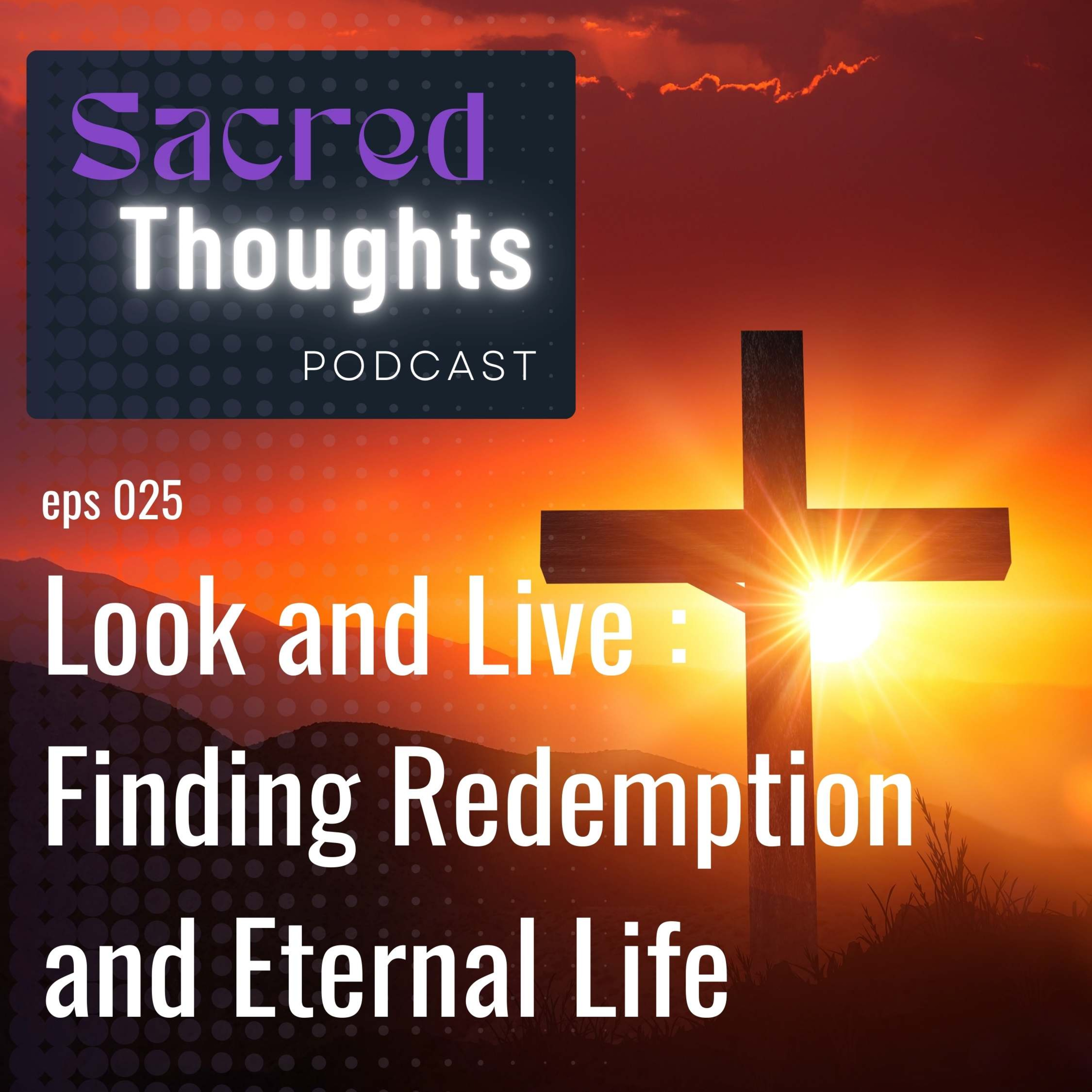 Look and Live : Finding Redemption and Eternal Life episode artwork
