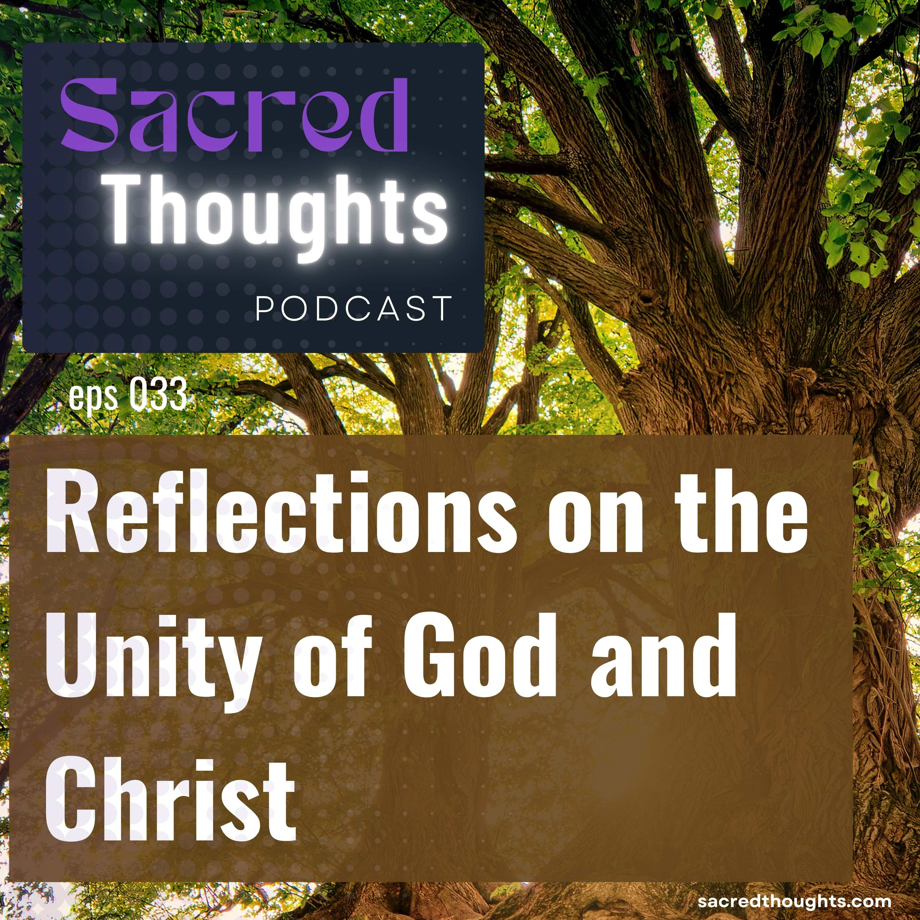 Reflections on the Unity of God and Christ episode artwork