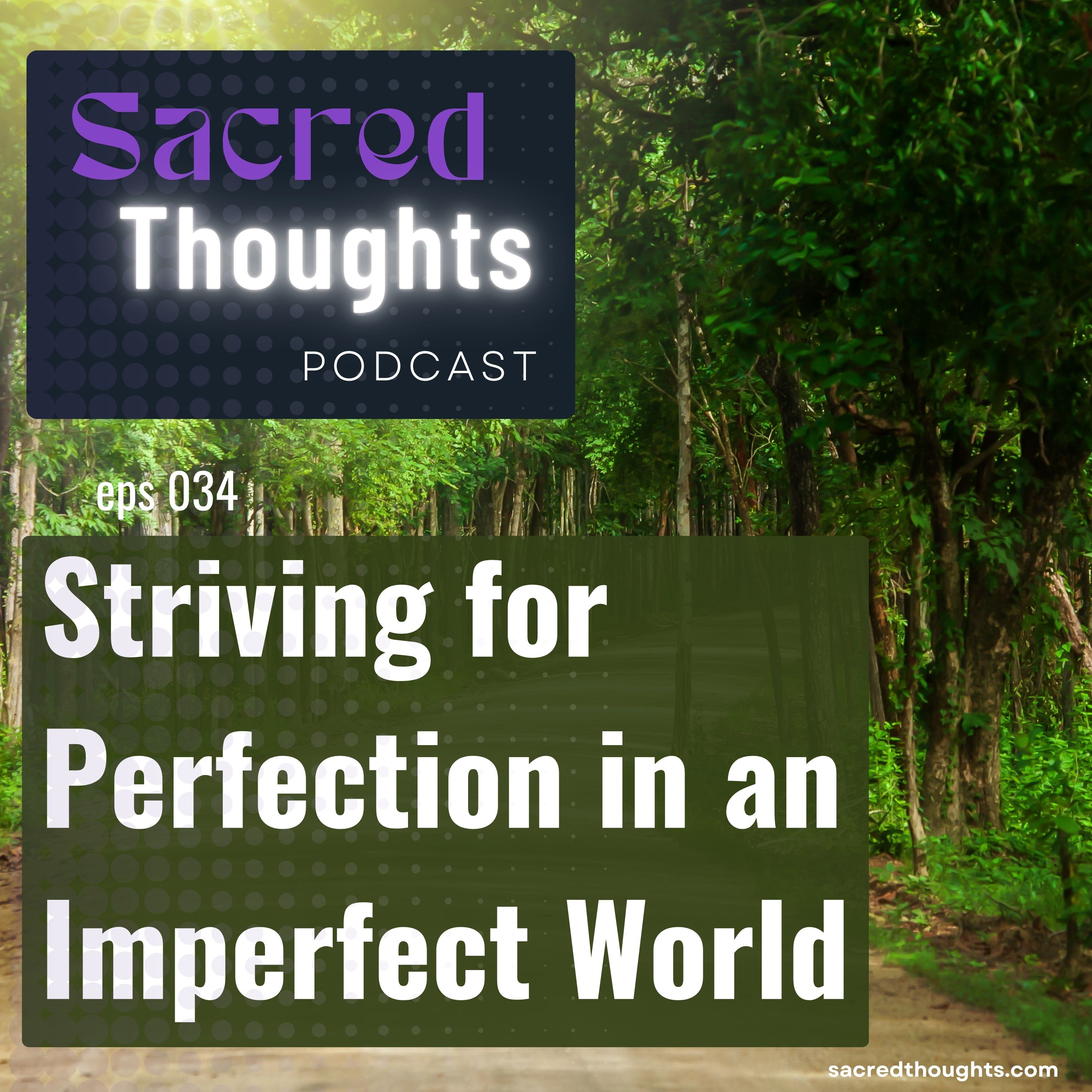 Striving for Perfection in an Imperfect World episode artwork