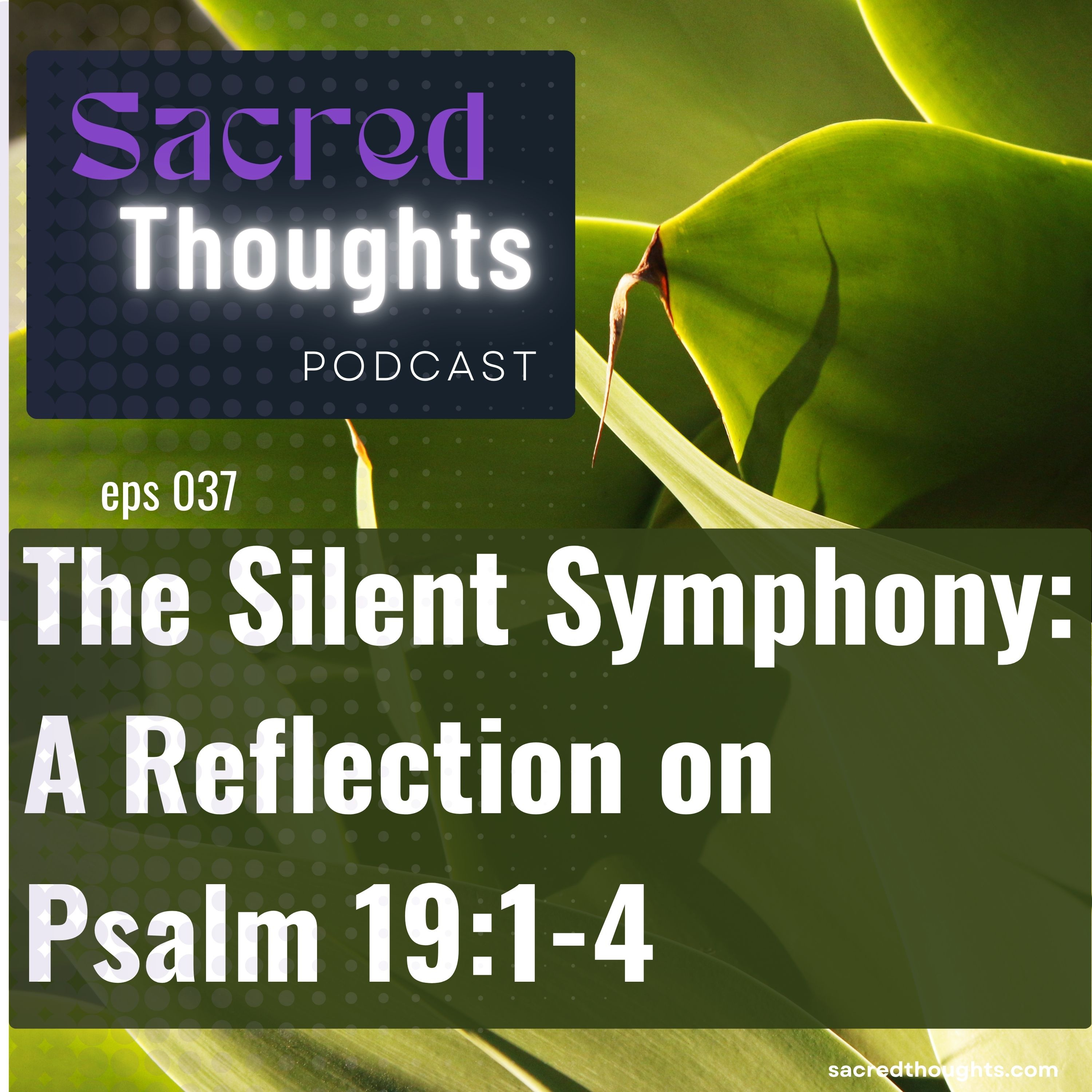 The Silent Symphony: A Reflection on Psalm 19:1-4 episode artwork