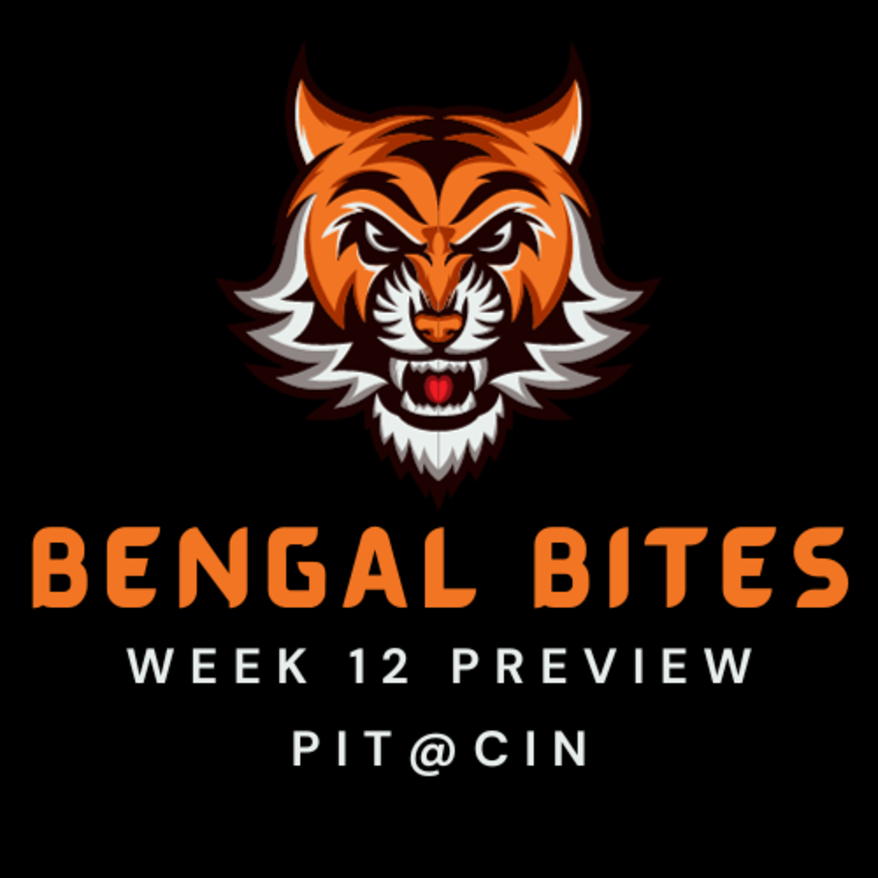 Episode 026 - Week 12 Preview: Pittsburgh Steelers @ Cincinnati Bengals episode artwork