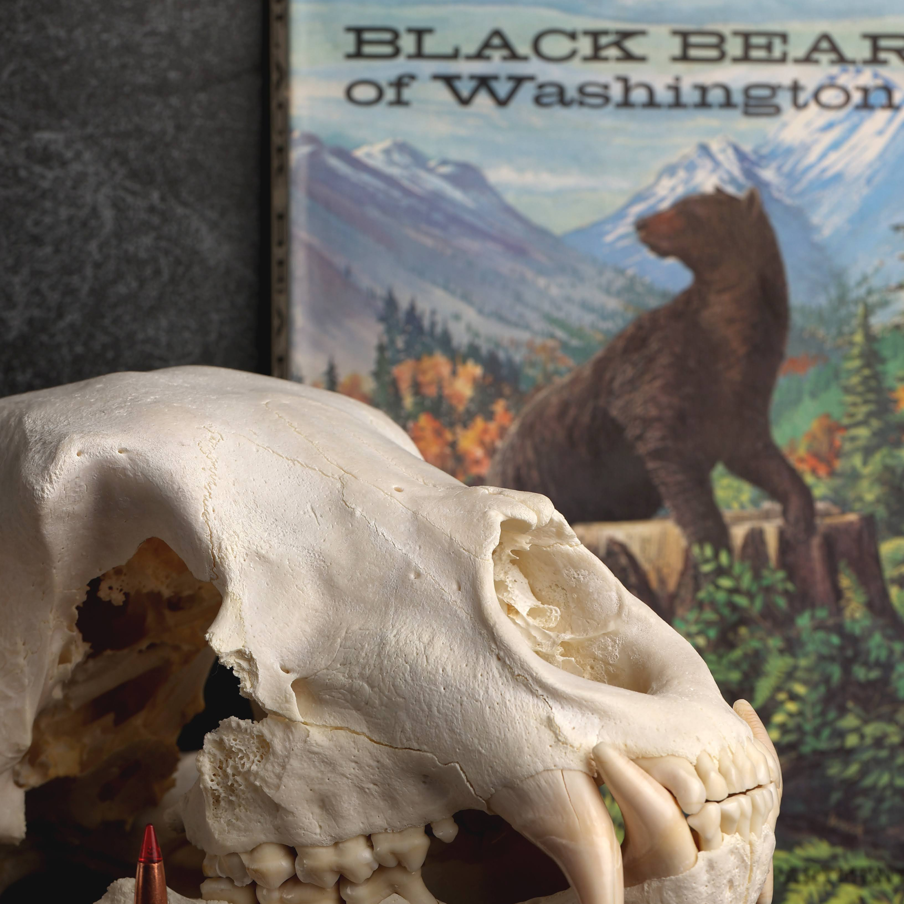 The Hunter Farmer Artisan Podcast with Ryan Garrett