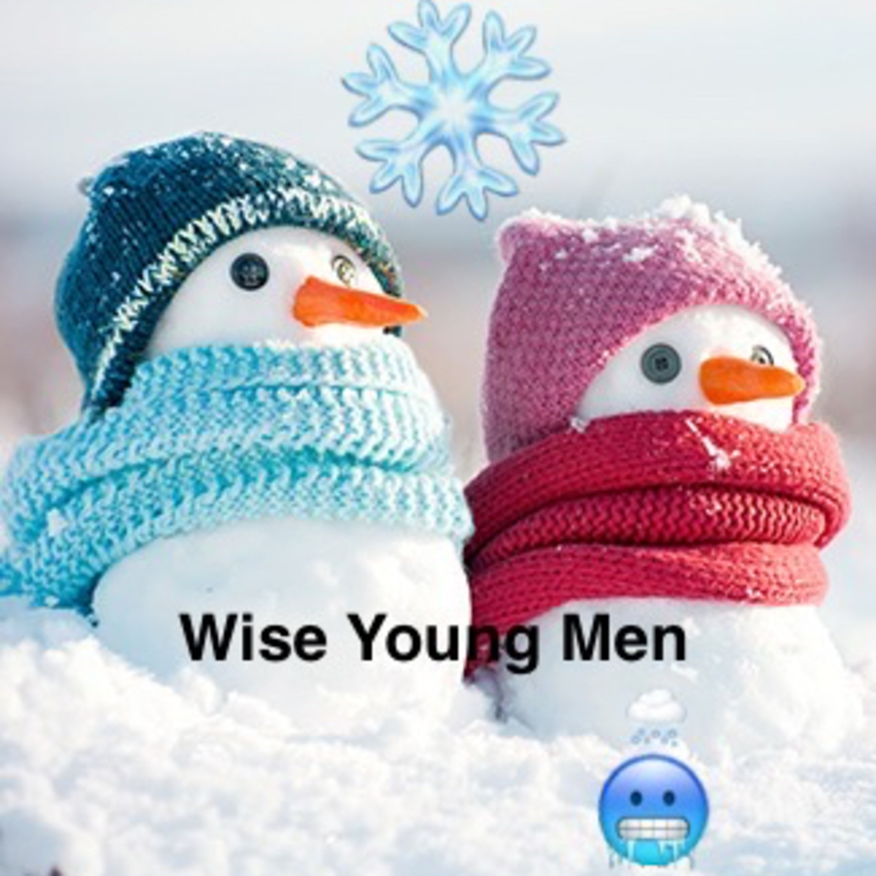 Wise Young Men