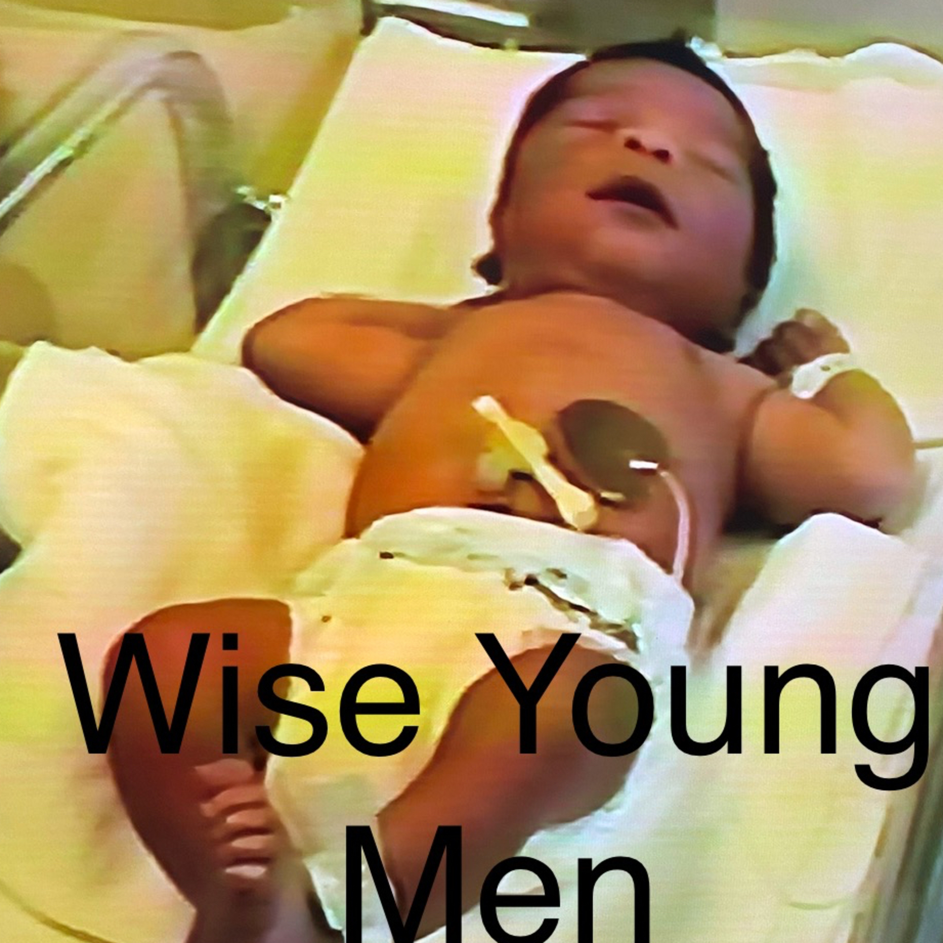 Wise Young Men