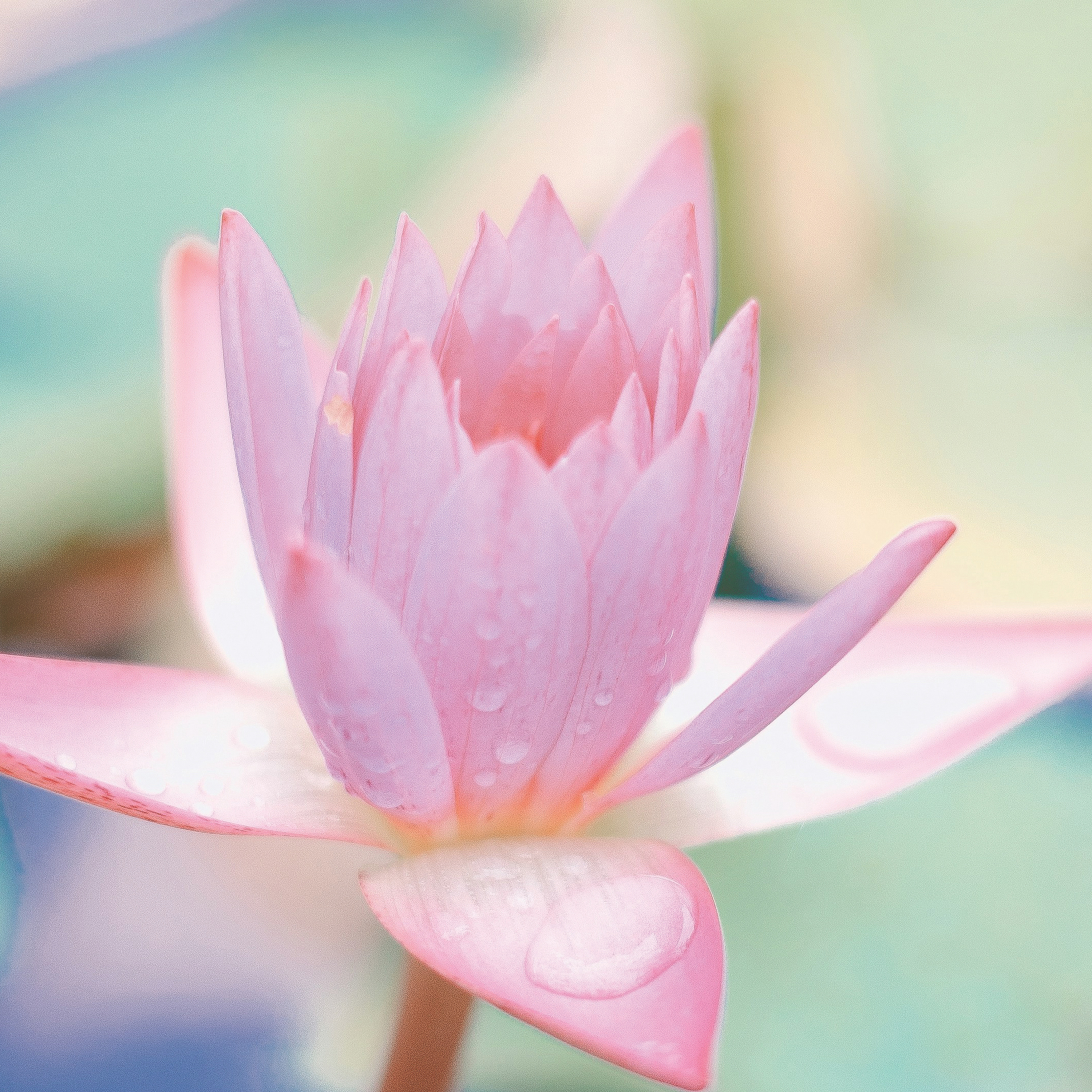 2024 Sunday – A Message of Joy and Hope