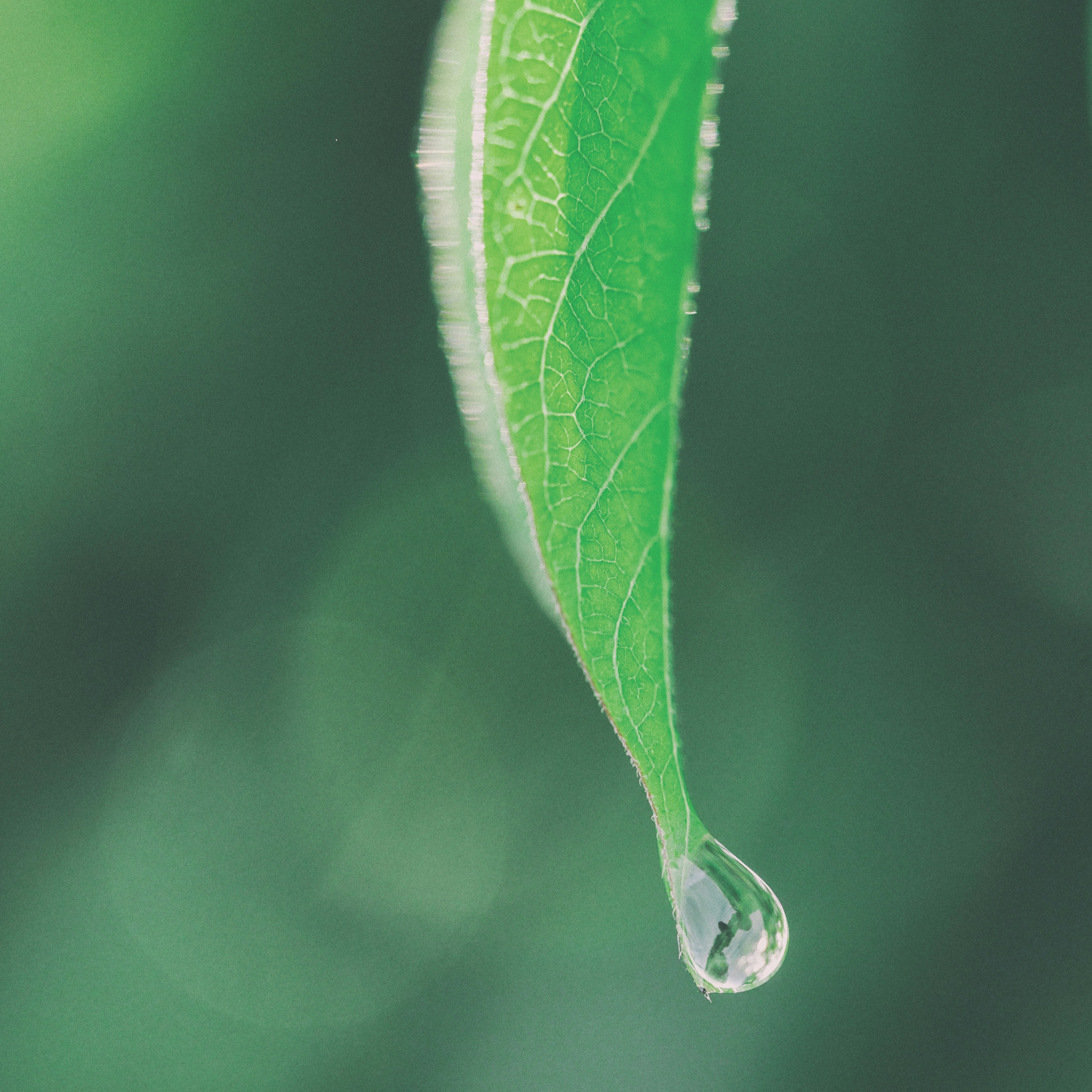 2024 Thursday – Nourished by God’s Word