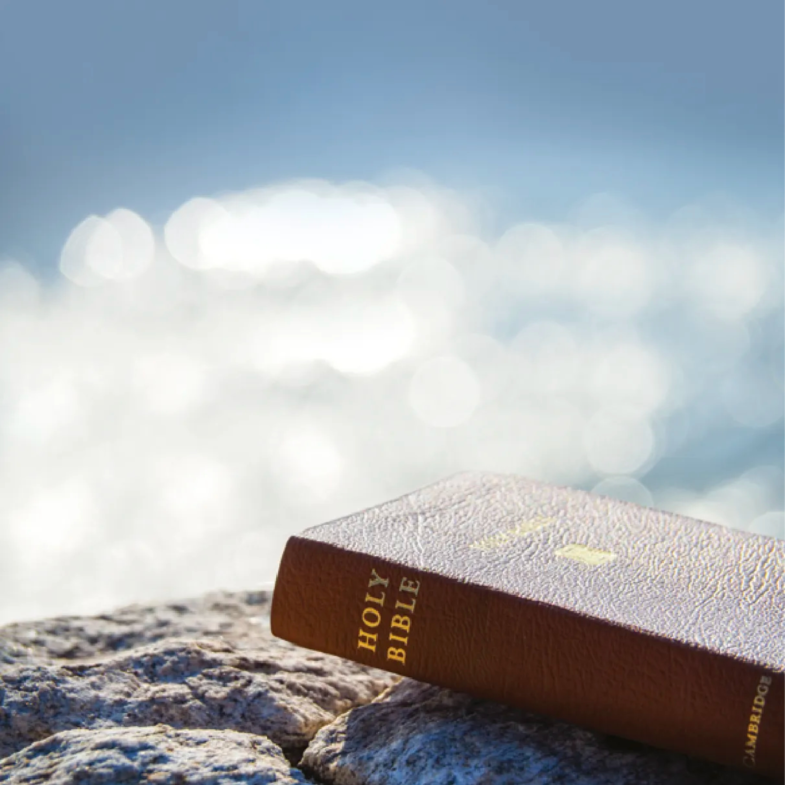 2026 Sabbath 1 – Grounded in the Bible – Erton Köhler