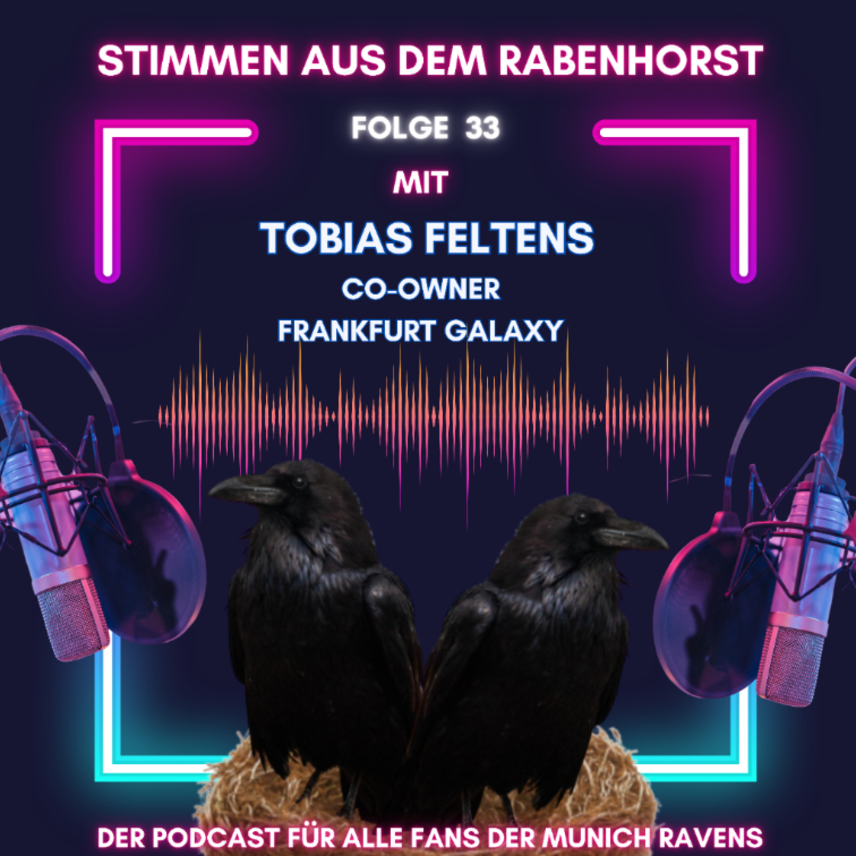 Folge 33 - mit Frankfurt Galaxy Co-Owner Tobias Feltens episode artwork