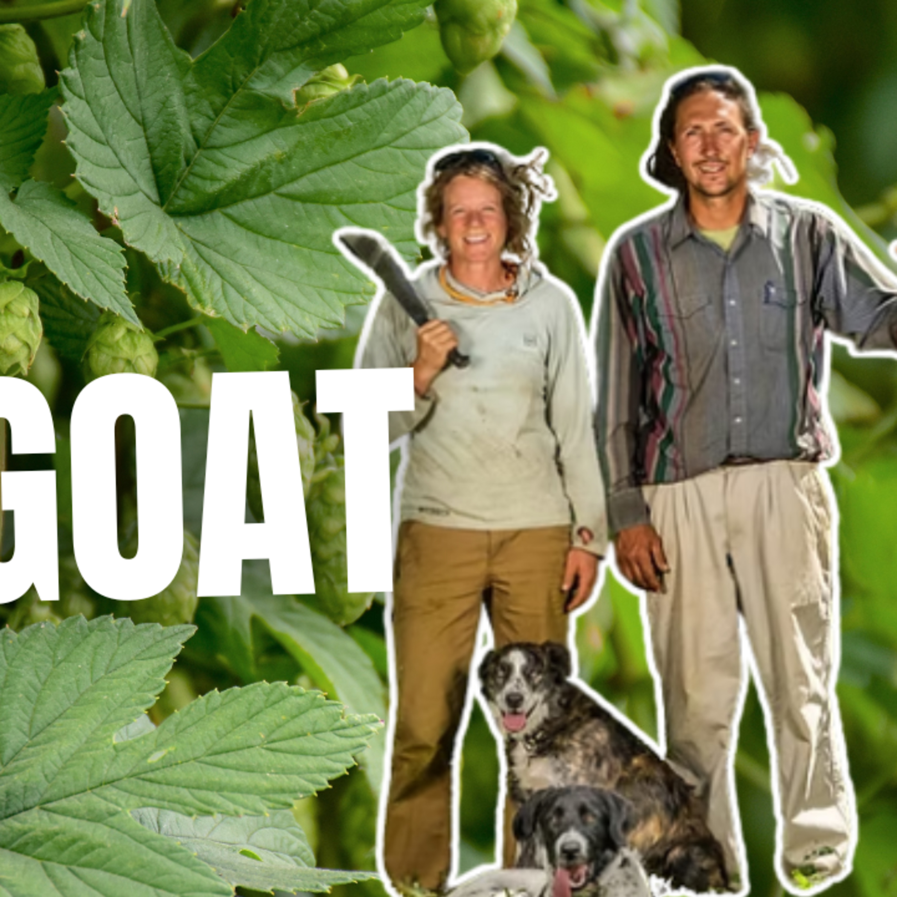 Inside Billy Goat Hop Farm with Audrey Gehlhausen
