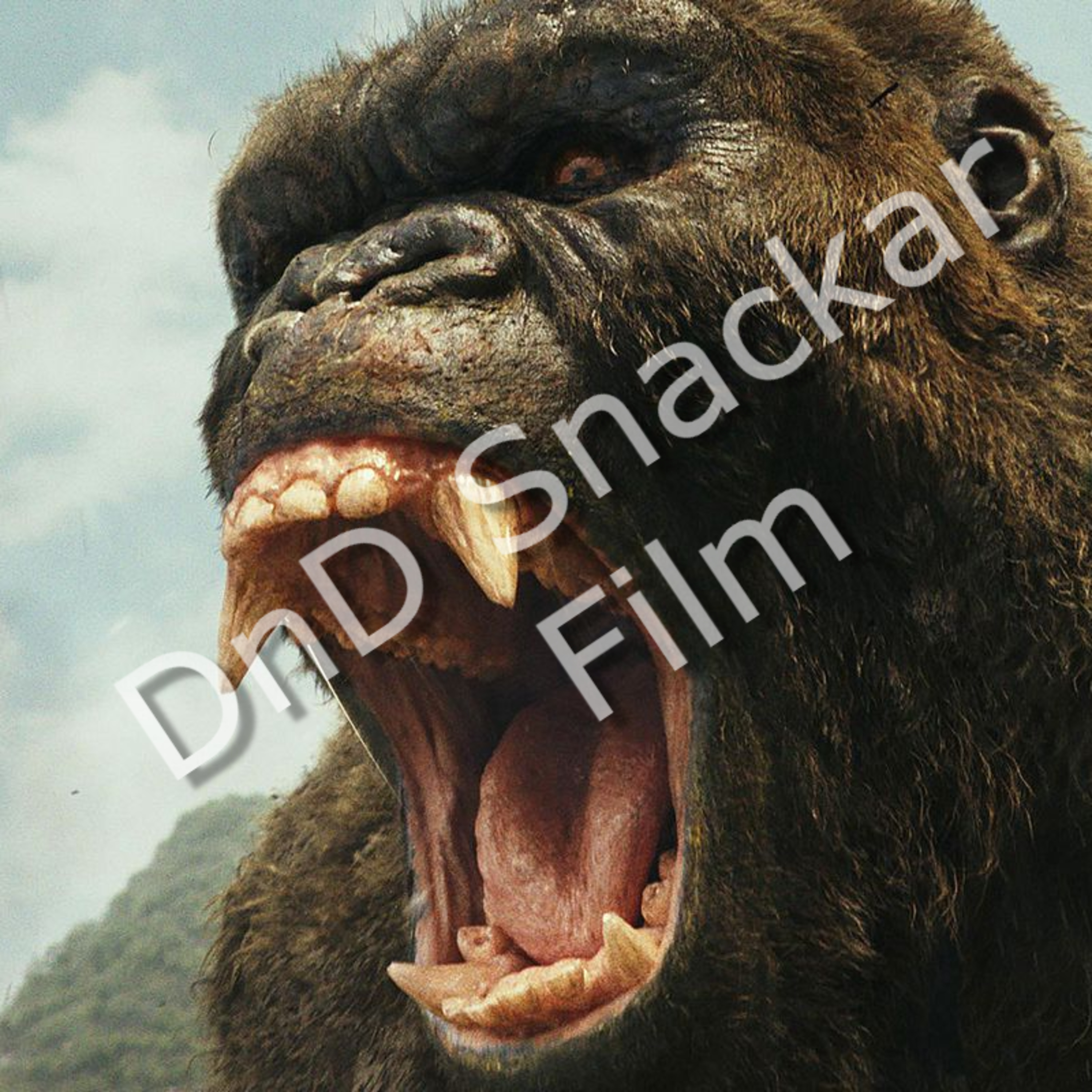DnD Snackar Film