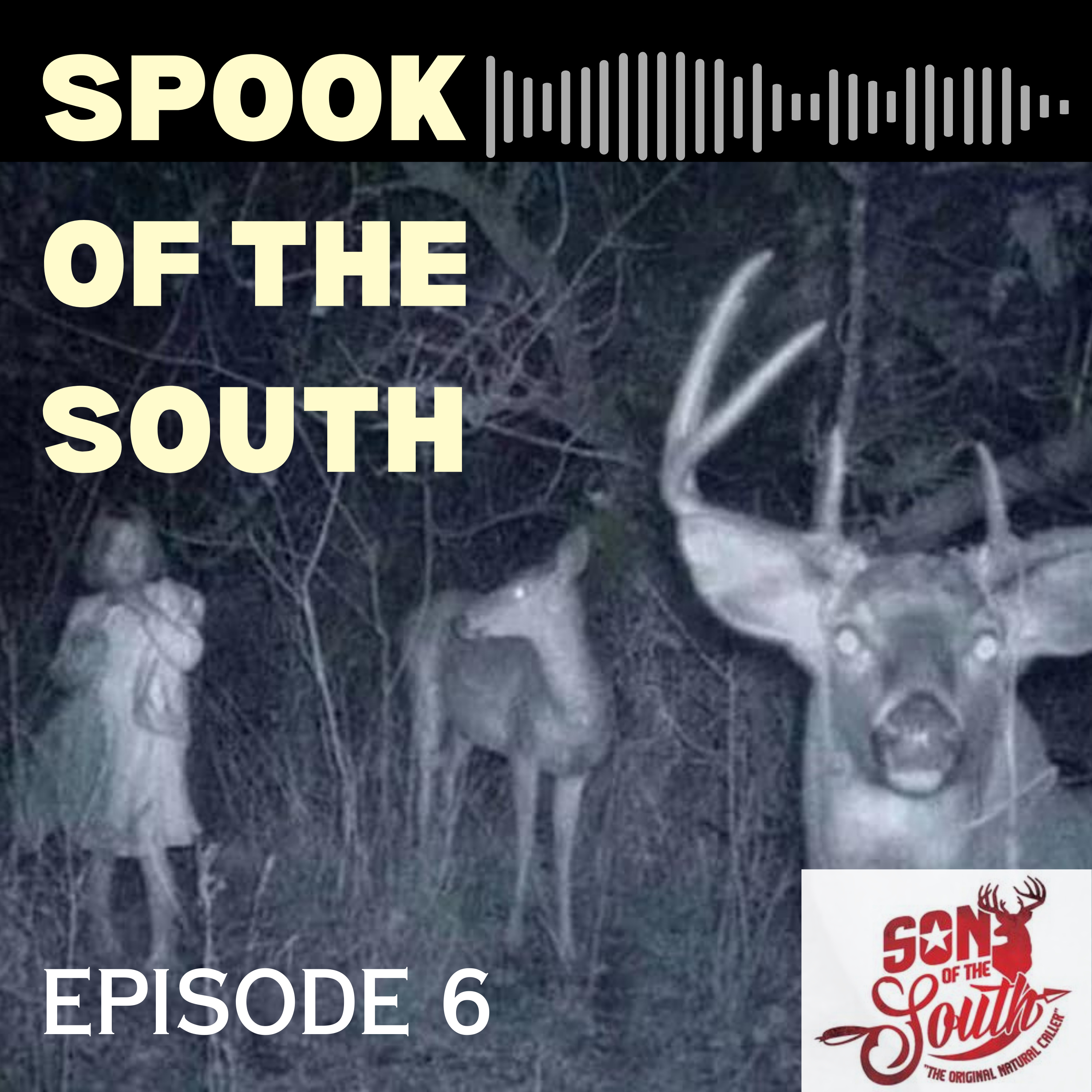 Son of the South Podcast