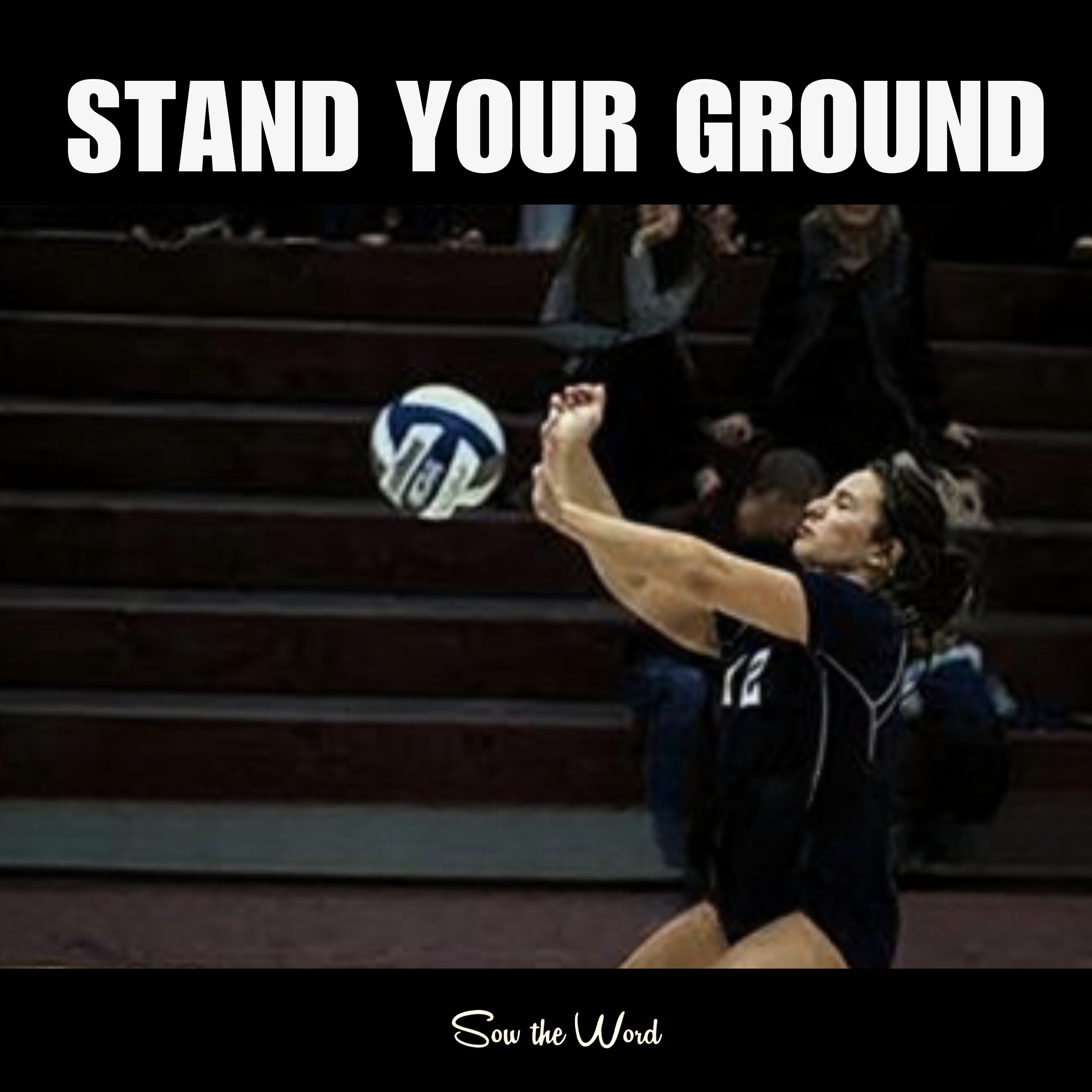 Stand Your Ground  episode artwork