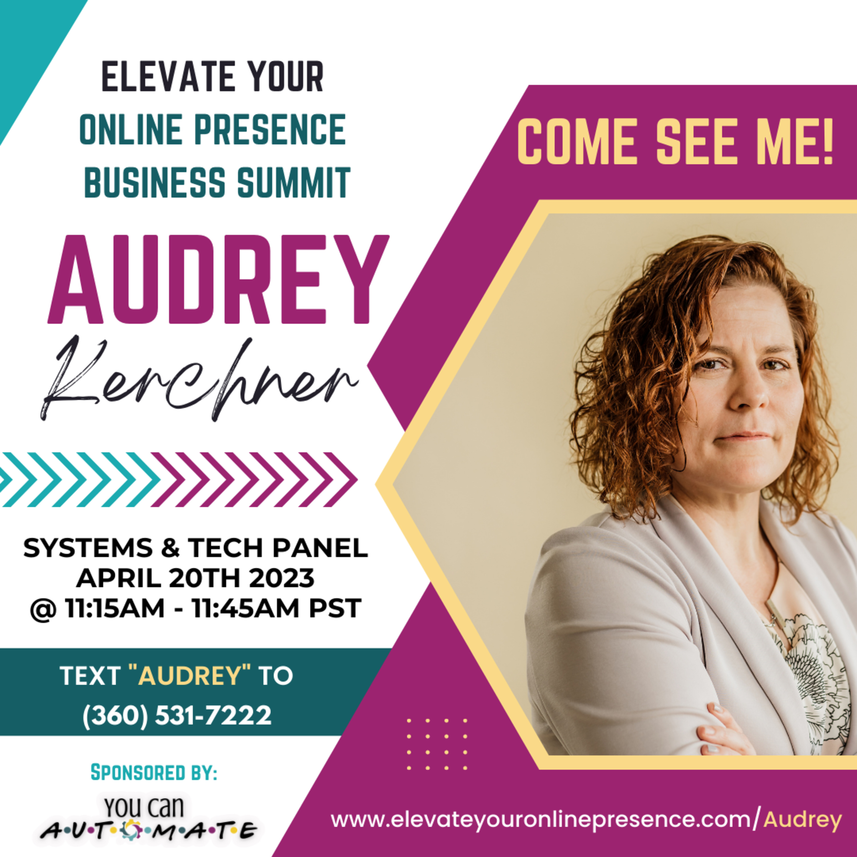Bitch and Brainstorm Podcast Special Edition: Elevate your Online Presence Business Summit - Panelist Audrey Kerchner
