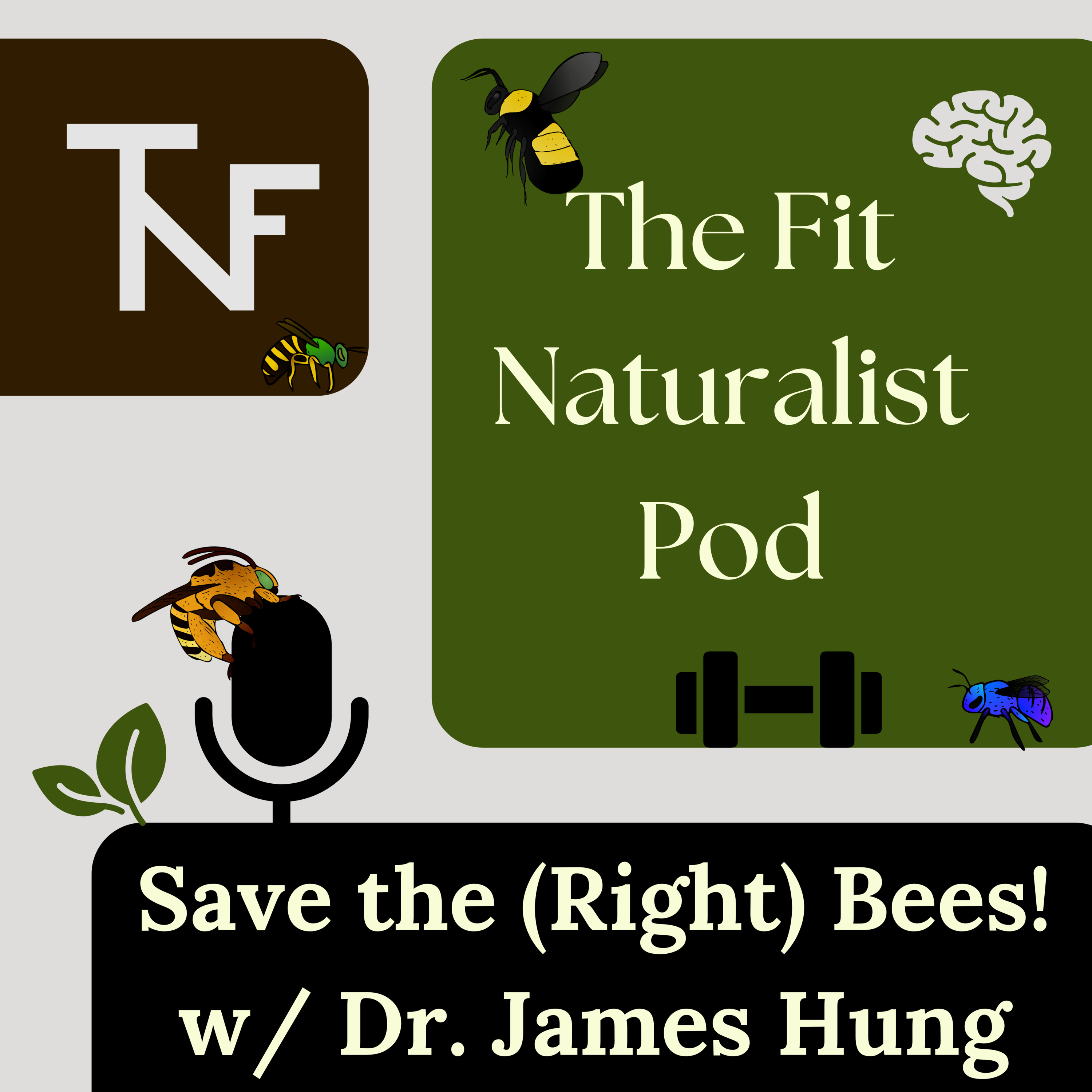 Save the (Right) Bees! (with Dr. James Hung) episode artwork