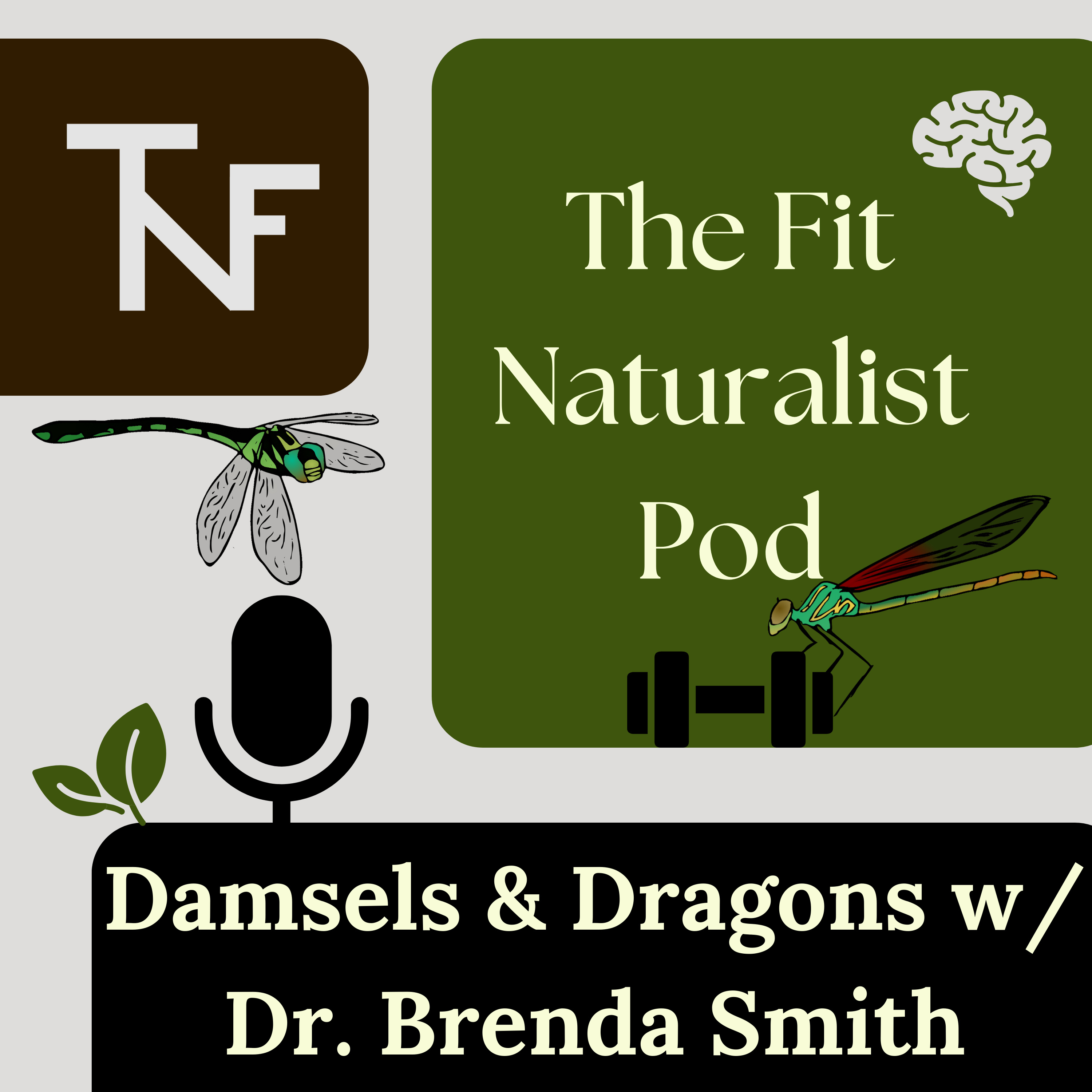 Damsels & Dragons with Dr. Brenda Smith episode artwork