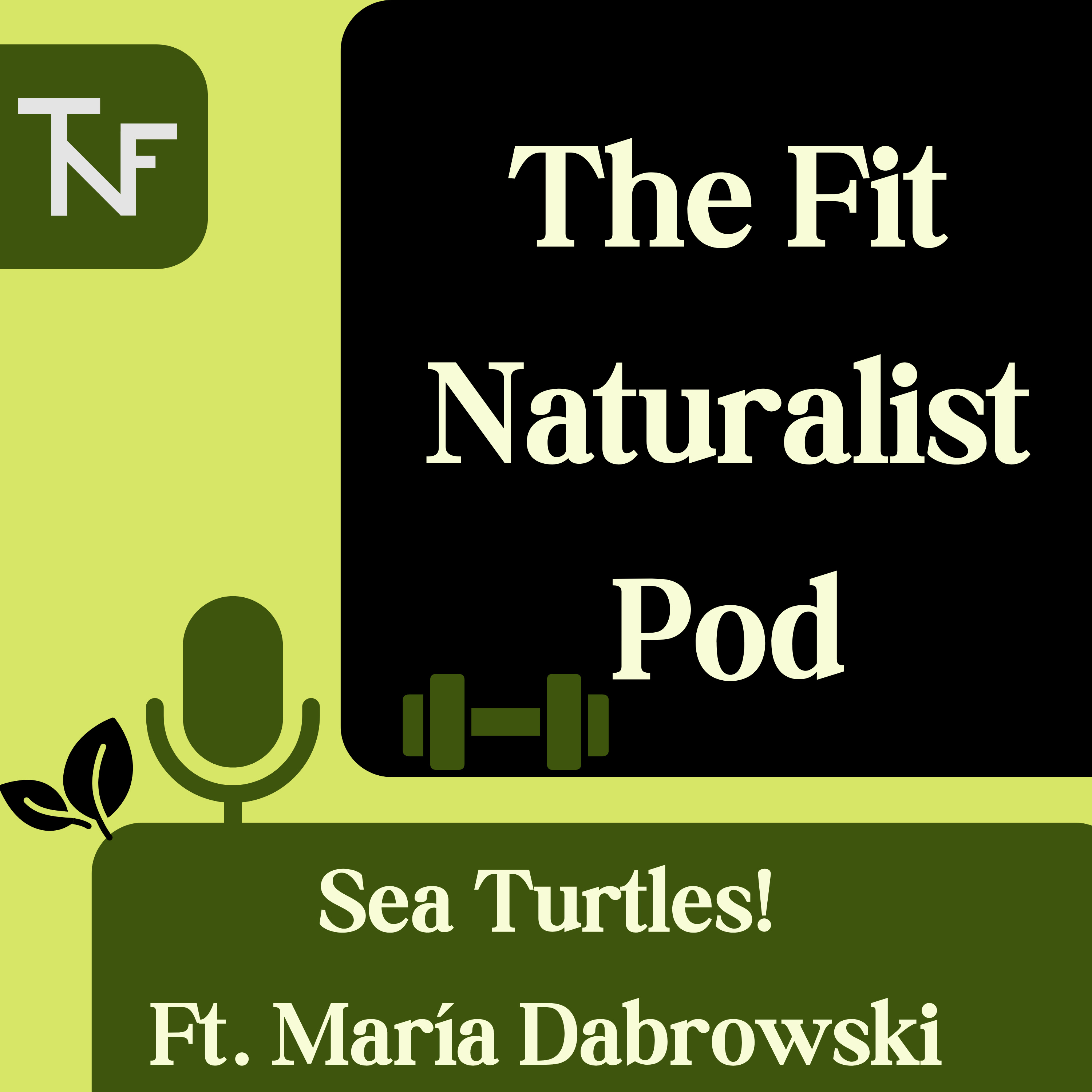 Sea Turtles! Ft. María Dabrowski episode artwork