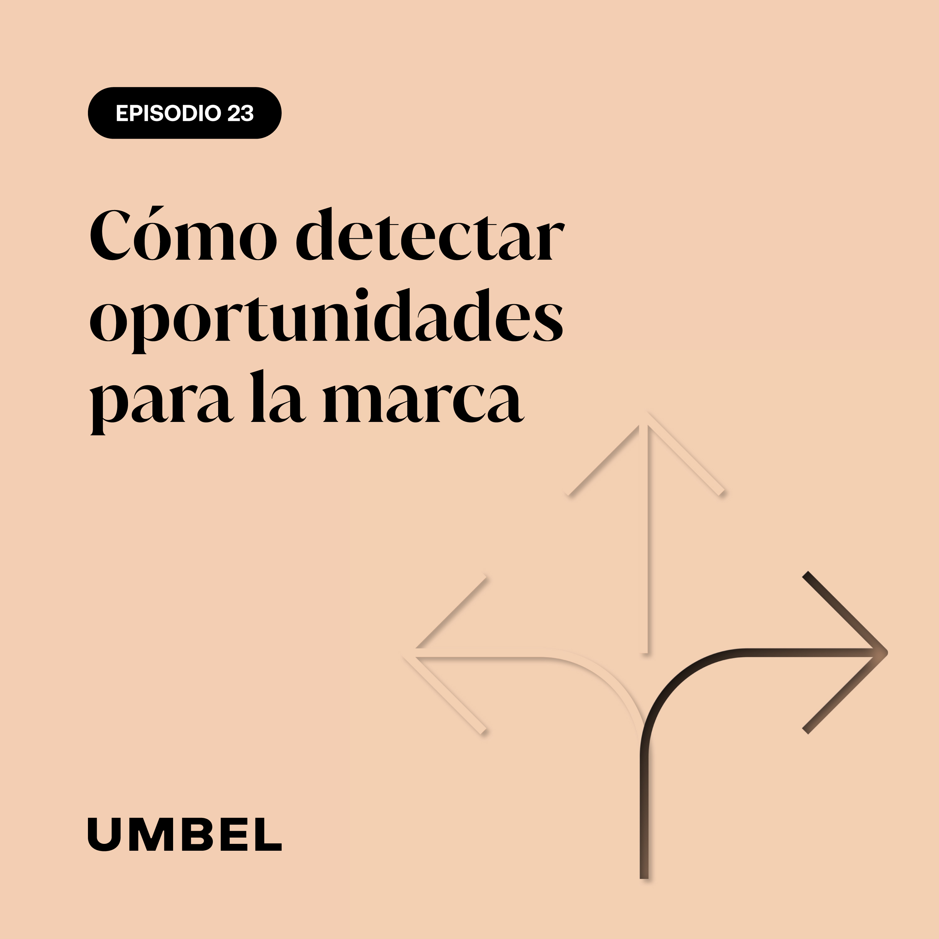 Cómo detectar oportunidades para la marca episode artwork