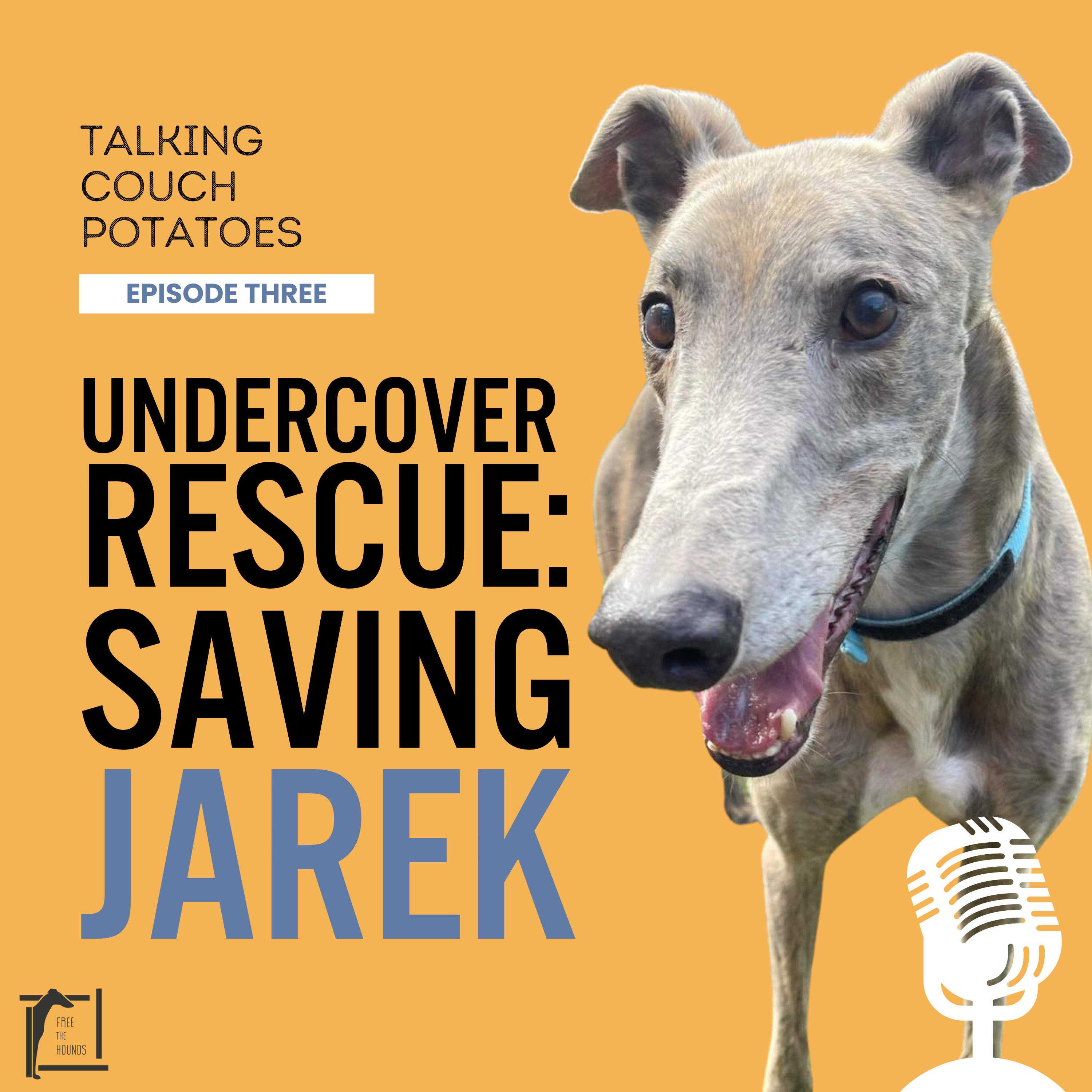 EP03: Undercover Rescue: Saving Jarek episode artwork
