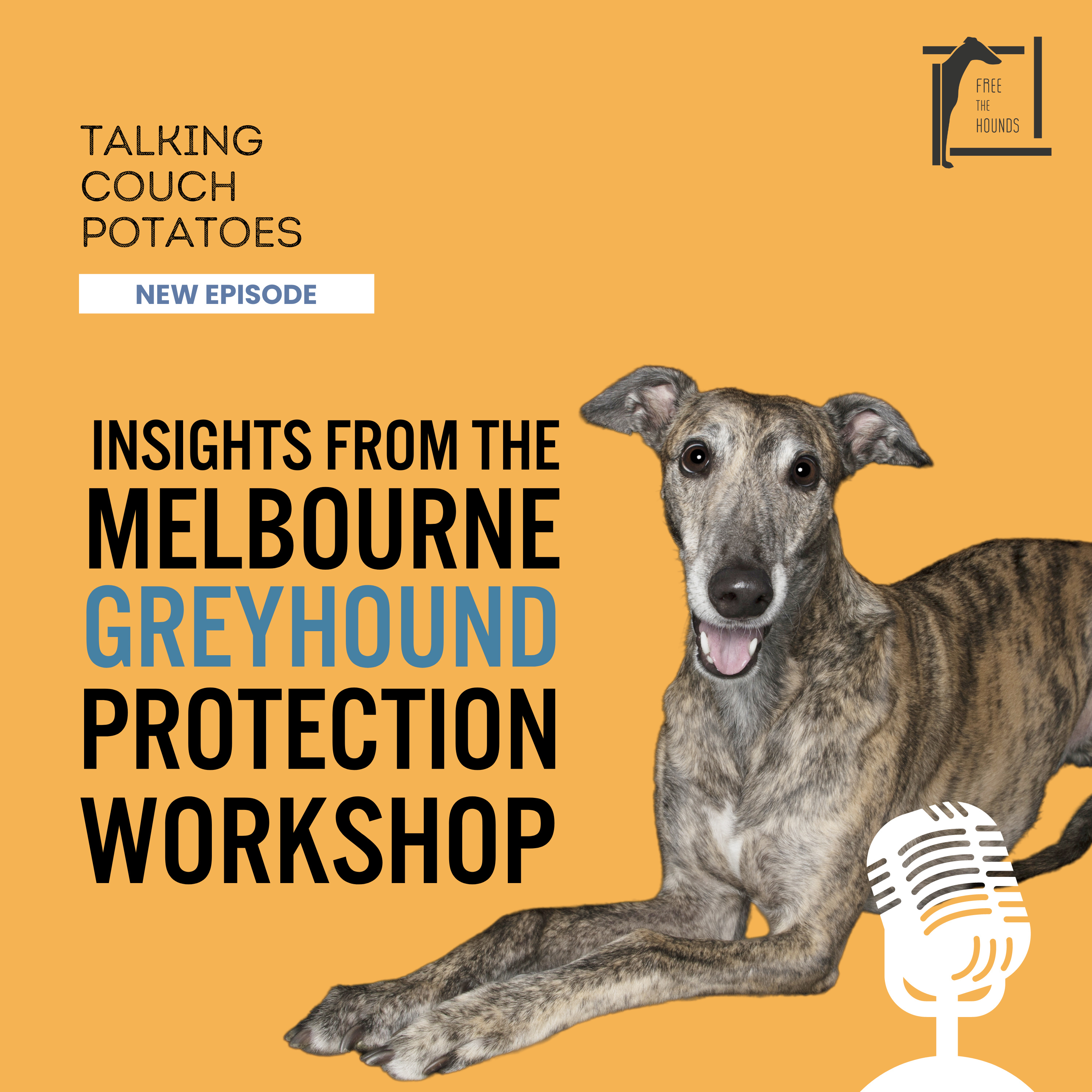 EP12: Insights from the Melbourne Greyhound Protection Workshop episode artwork