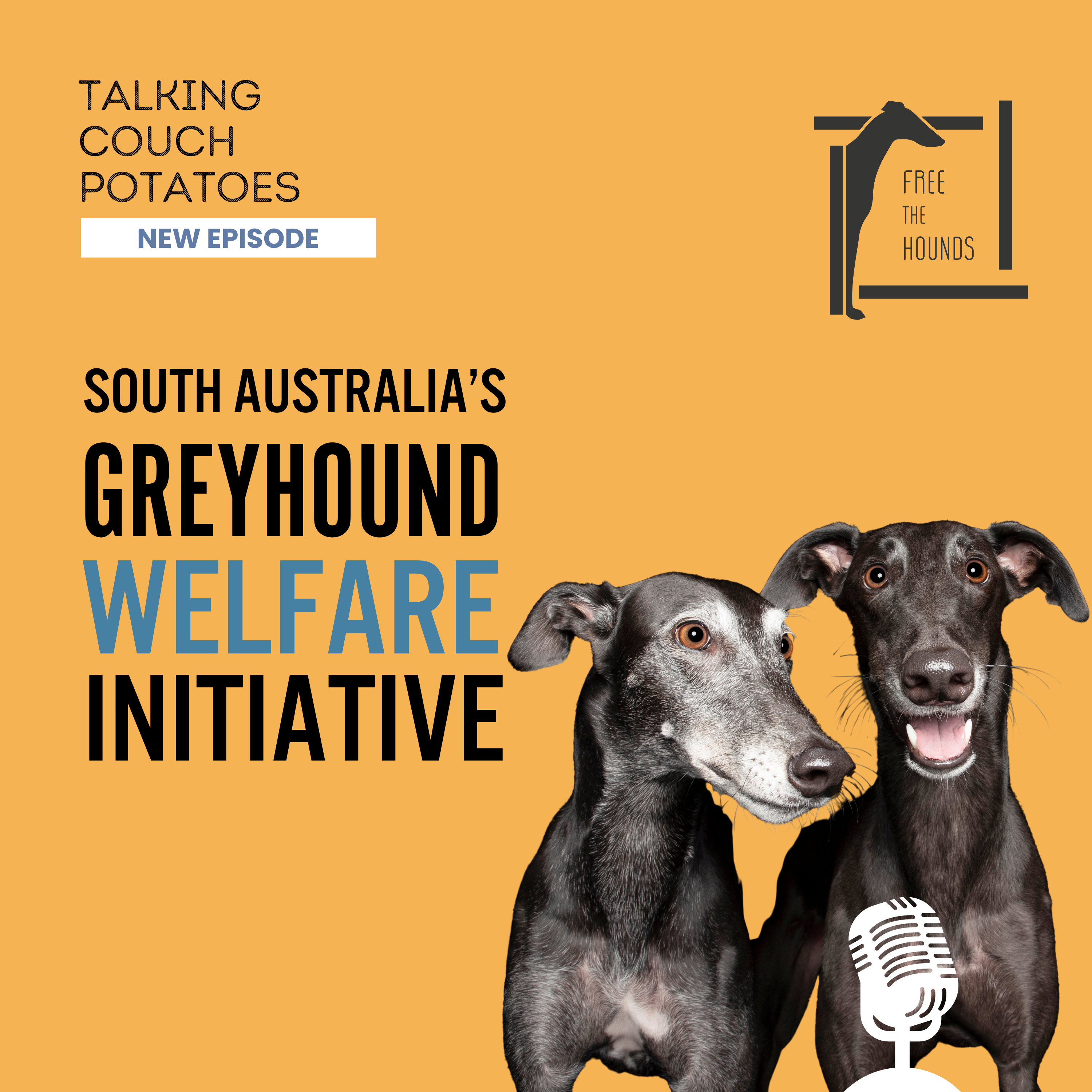 EP19: South Australia's Greyhound Welfare Initiative episode artwork