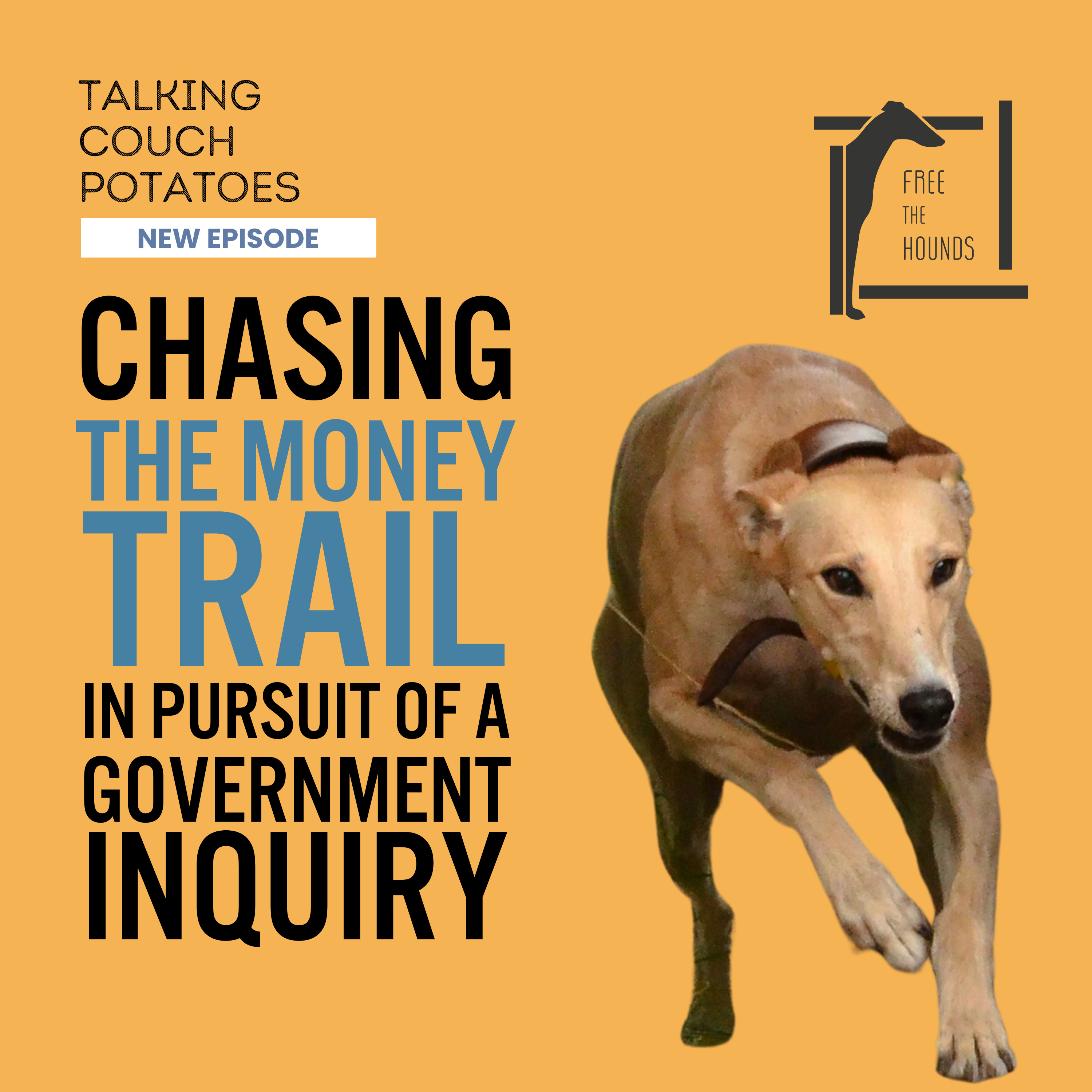 EP20: Chasing the Money Trail: In Pursuit of a Government Inquiry episode artwork