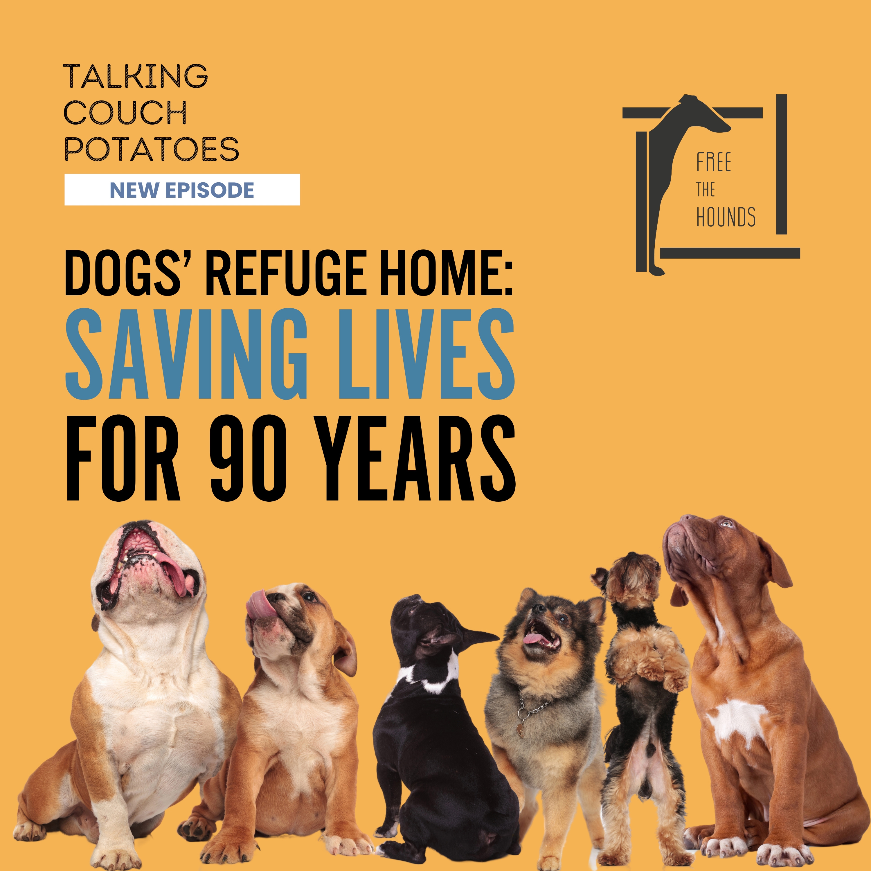 EP22: Dogs' Refuge Home: Saving Lives for 90 Years episode artwork
