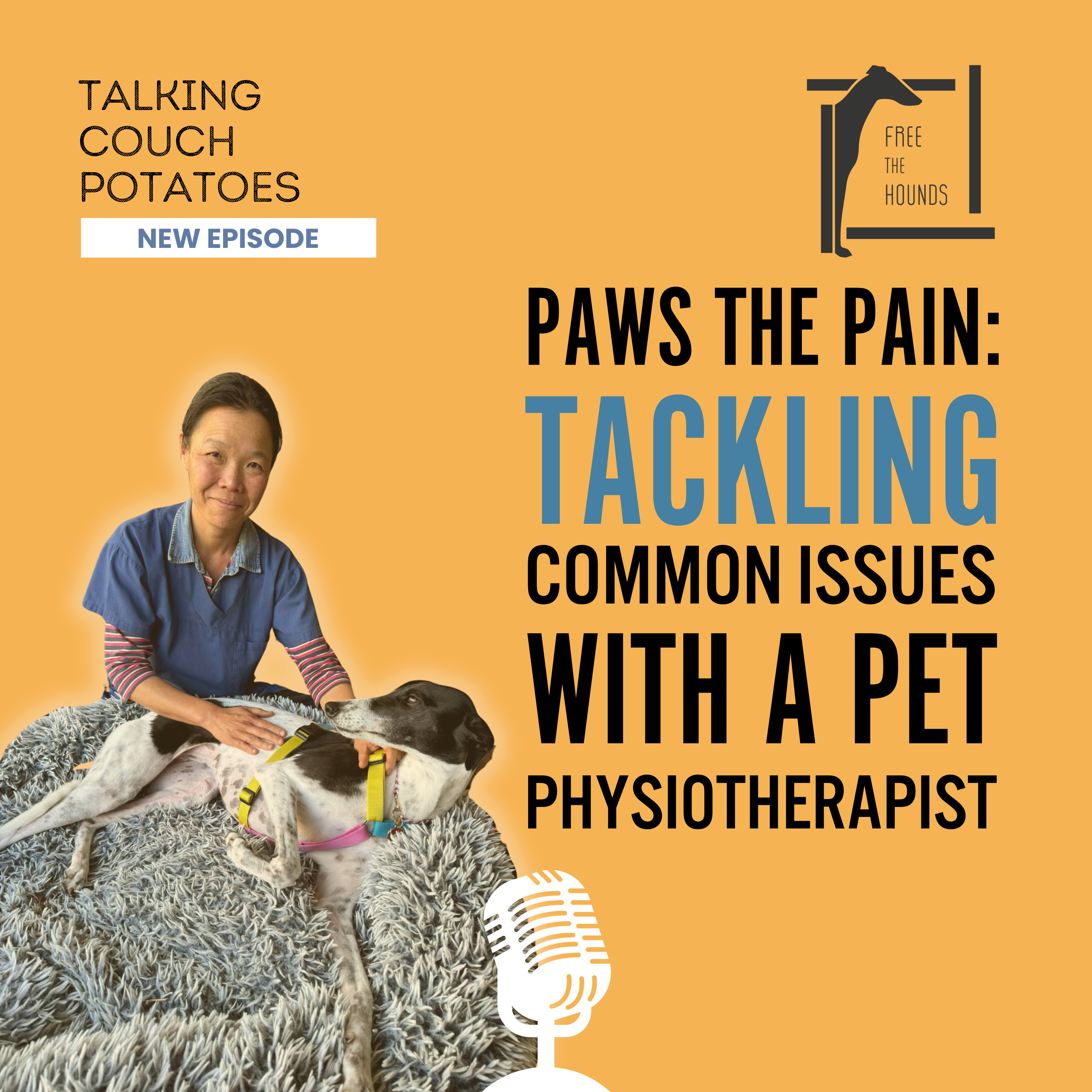 EP27: Paws the Pain: Tackling Common Issues with a Pet Physiotherapist episode artwork