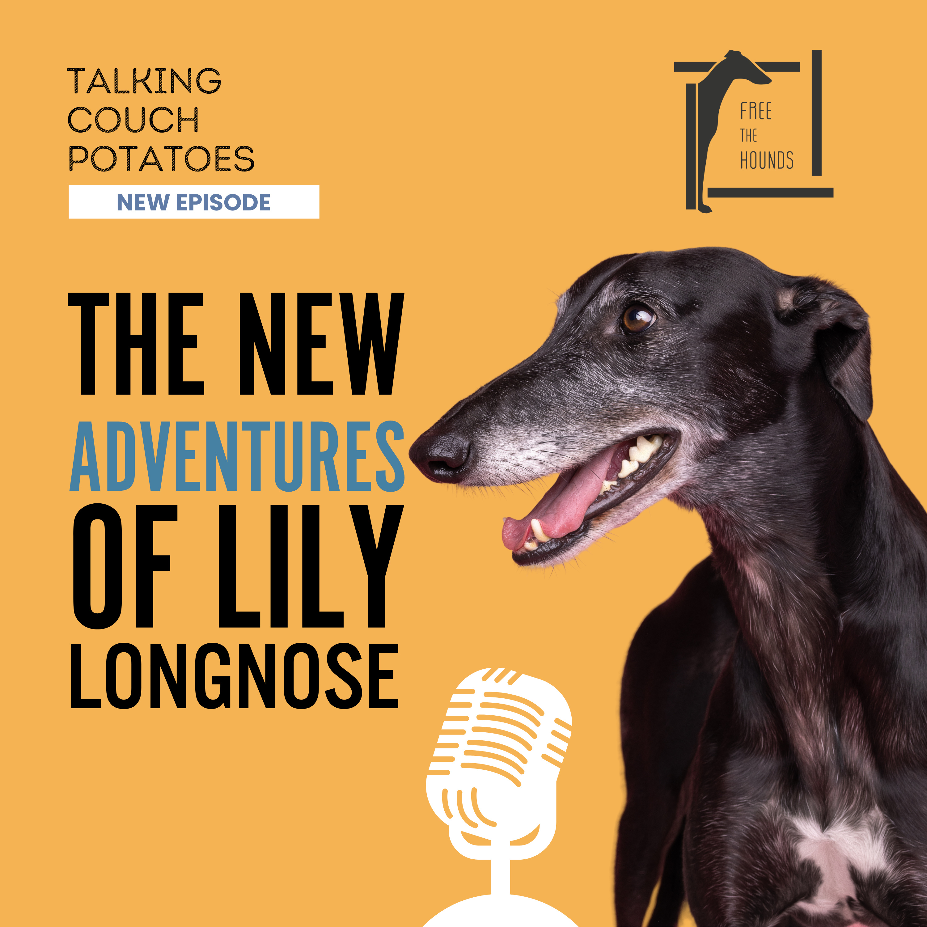 EP28: The New Adventures of Lily Longnose episode artwork