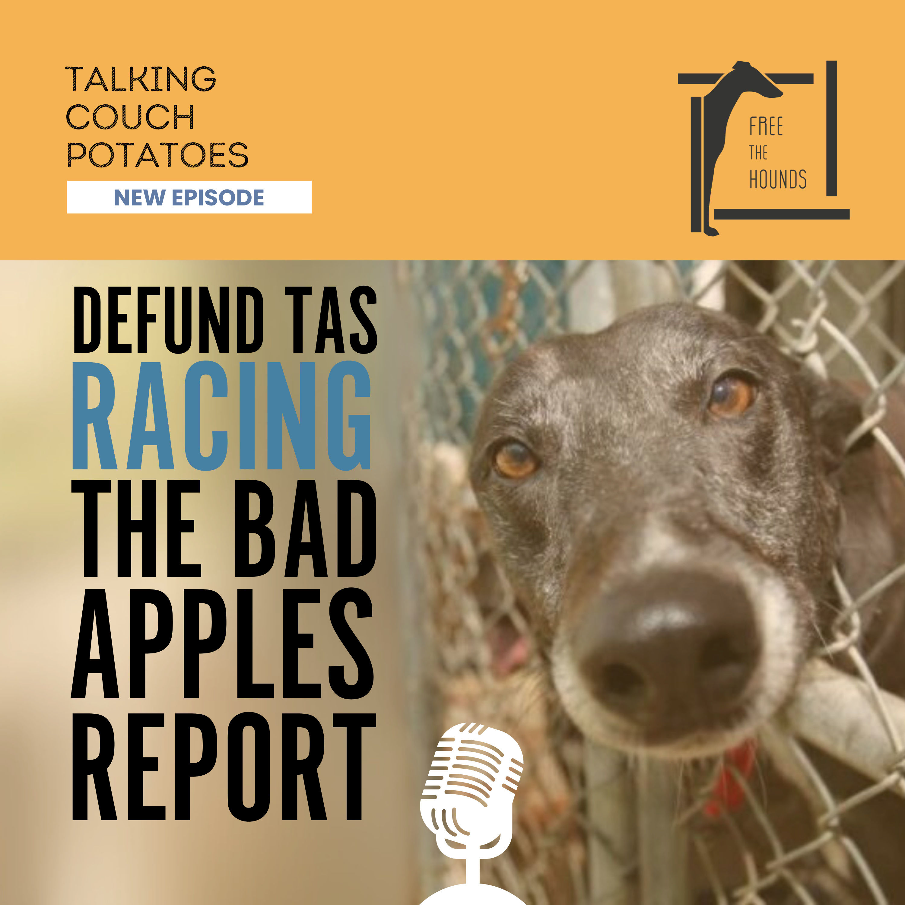 EP31: Defund TAS Racing: The Bad Apples Report