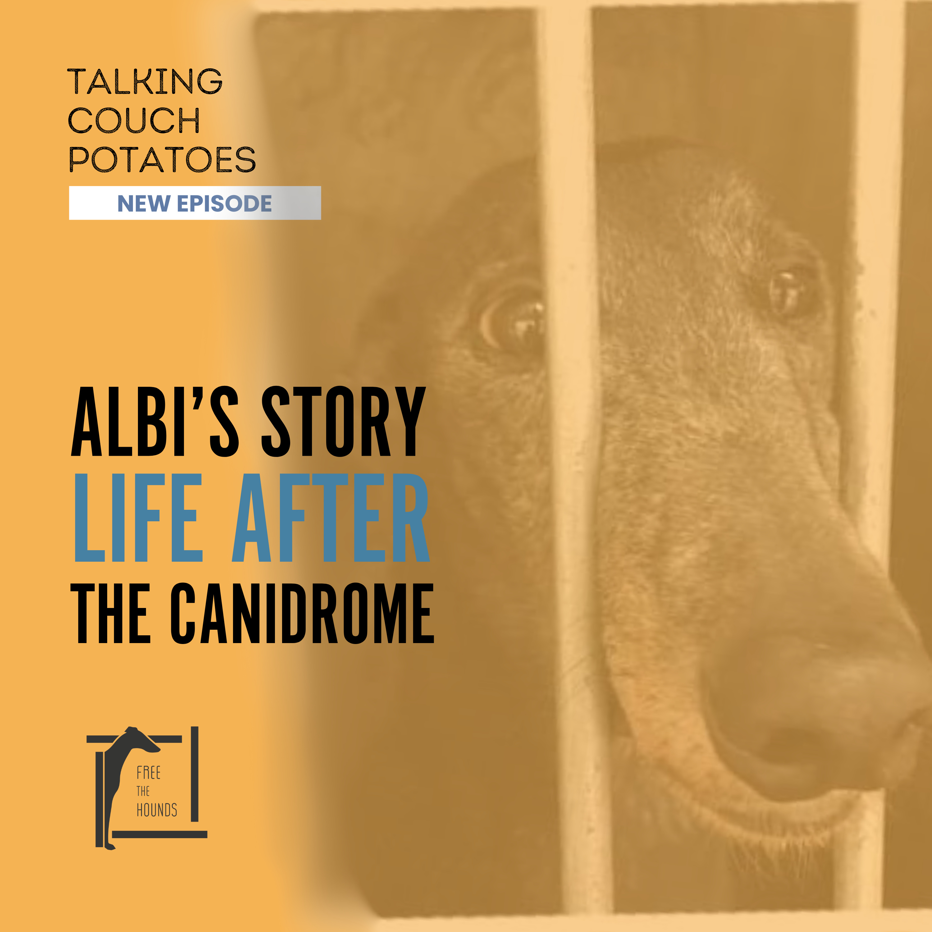 EP33: Albi's Story, Life After the Canidrome episode artwork
