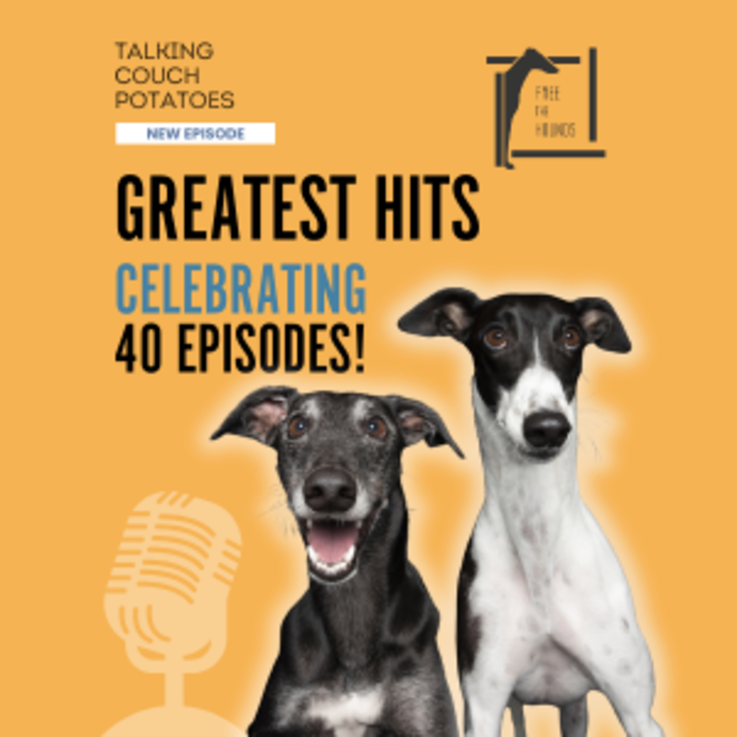 EP40: Greatest Hits Celebrating 40 Episodes! episode artwork