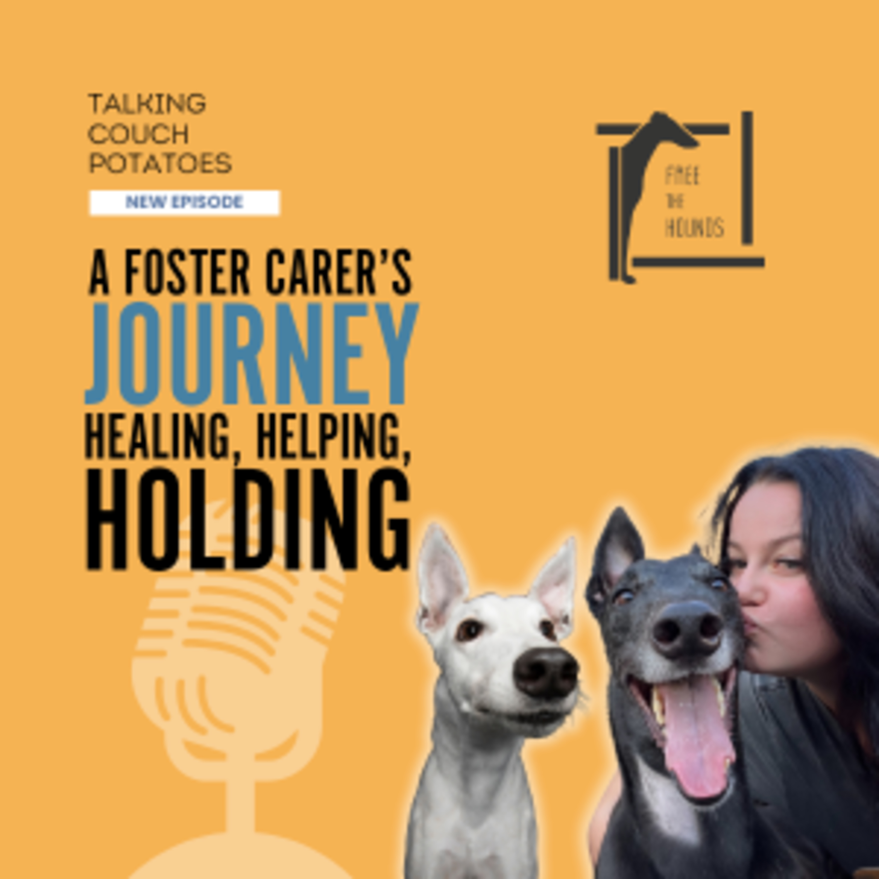 EP43: A Foster Carer's Journey: Healing, Helping, Holding episode artwork
