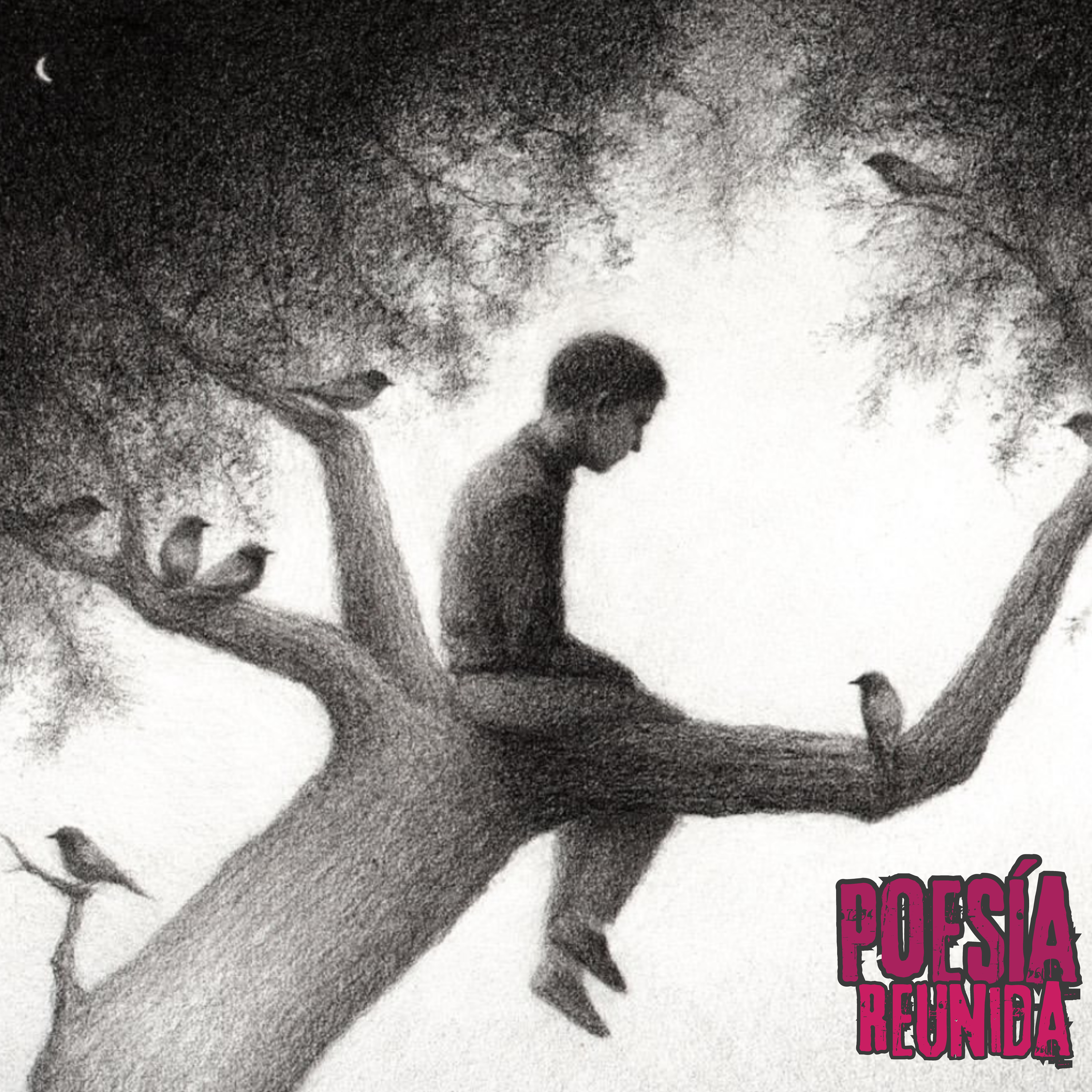 - POESÍA REUNIDA - Podcast