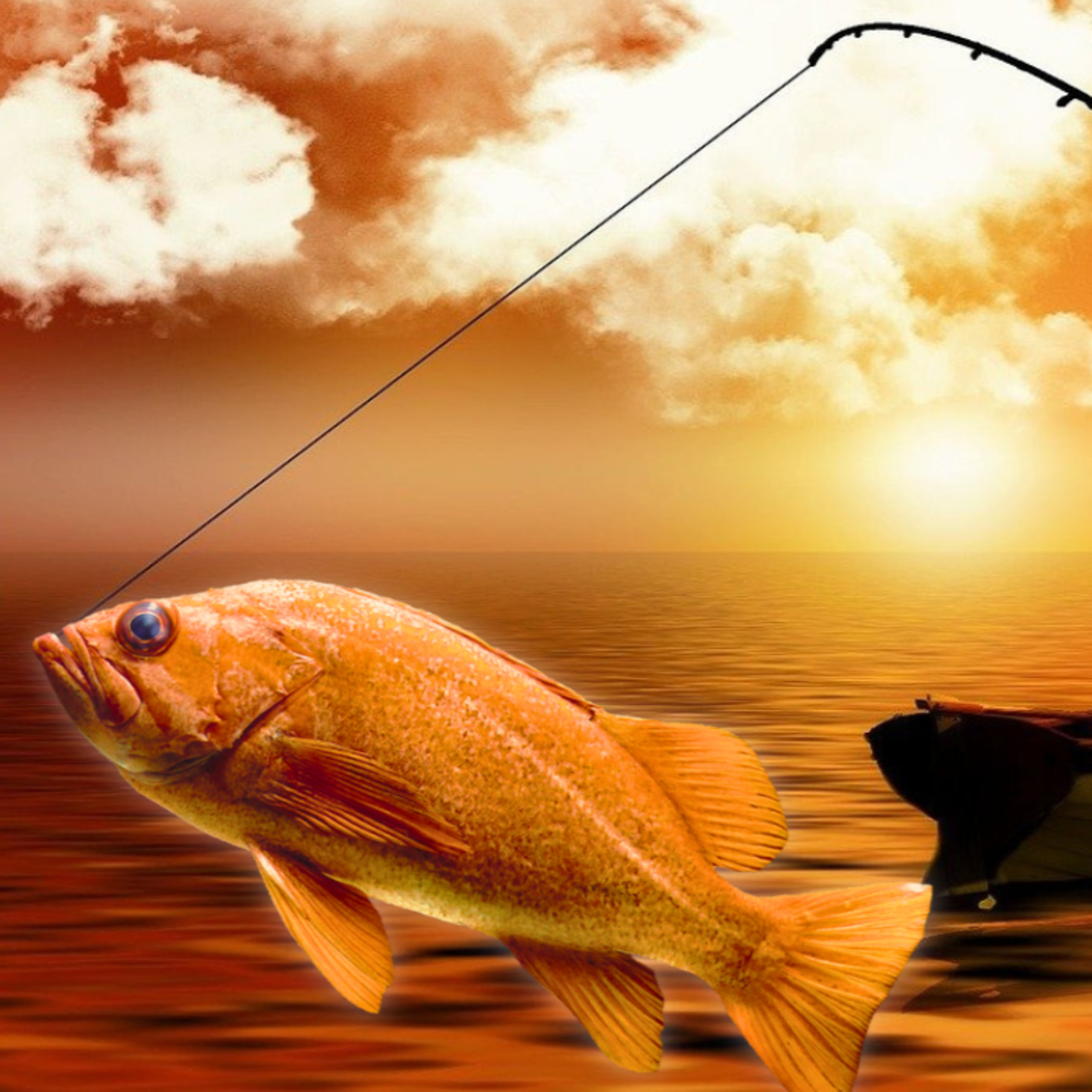 The Fisherman and His Wife episode artwork