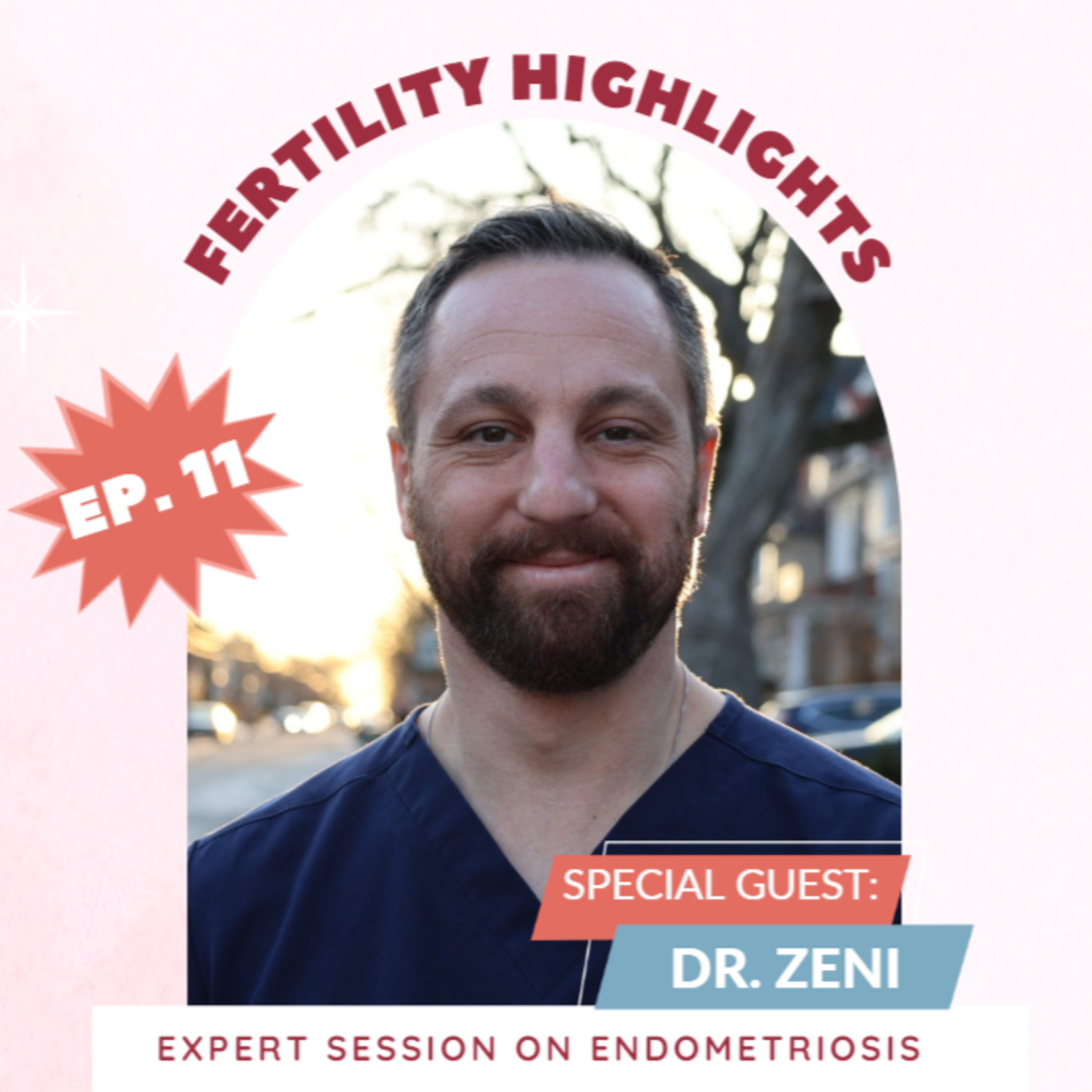 FERTILITY VILLAGE LIVE * Episode 11 * All things Endometriosis with an expert session with Dr. Zeni OBGYN episode artwork