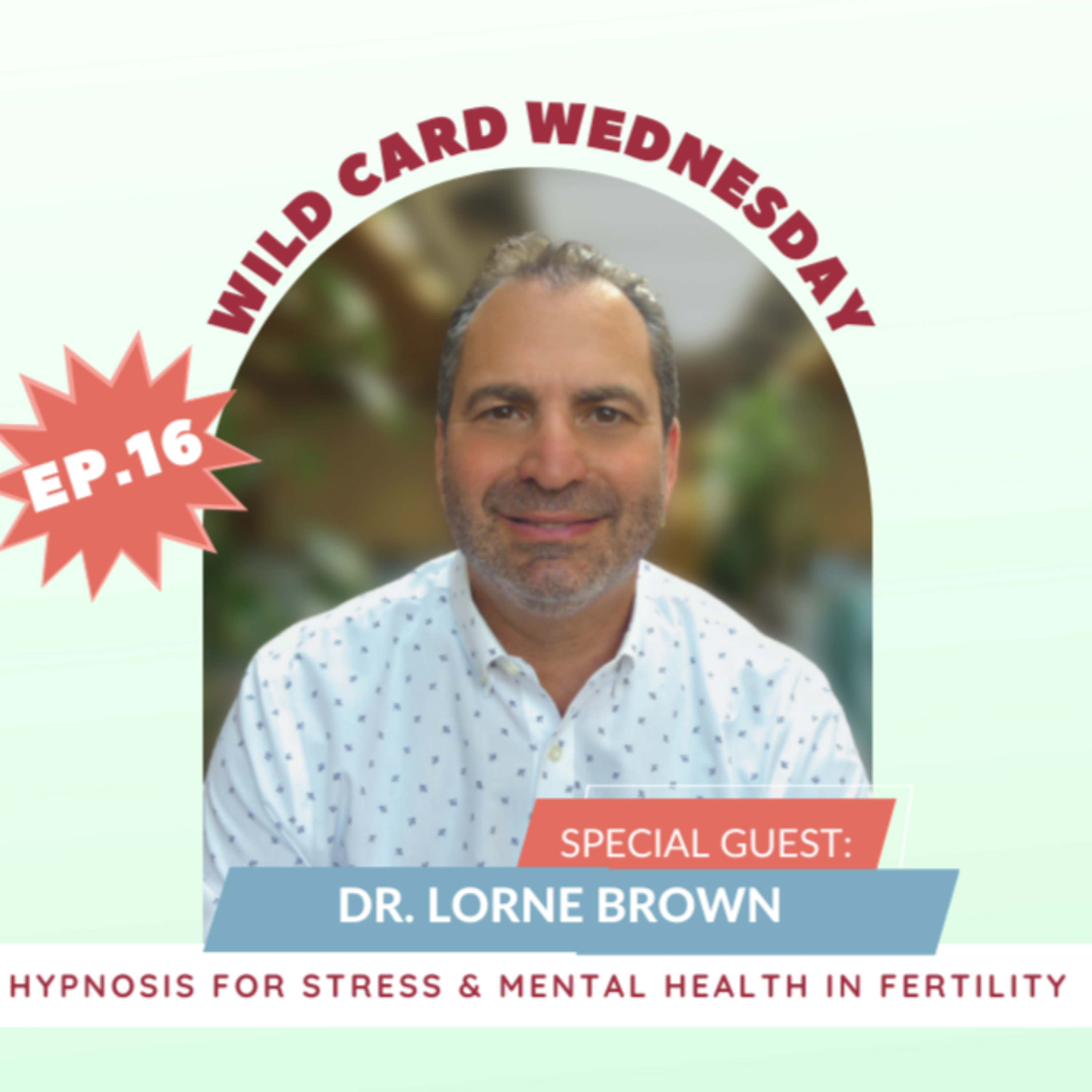 FERTILITY VILLAGE LIVE * Episode 16 * Conscious fertility and healing from within with Dr. Lorne Brown from The Conscious Fertility Podcast episode artwork