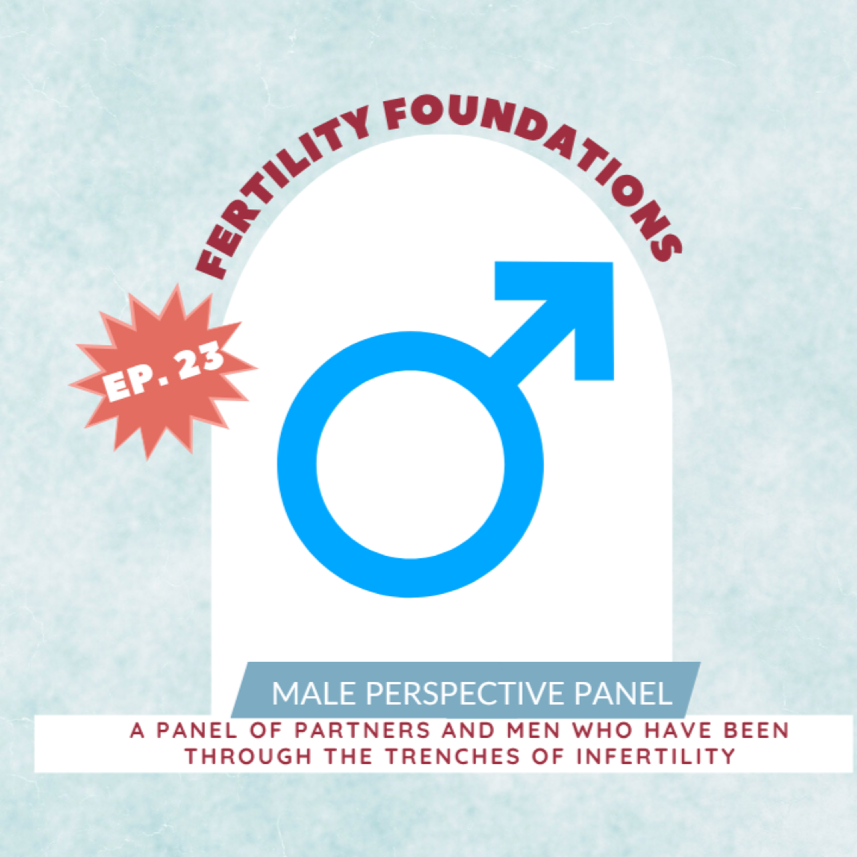 FERTILITY VILLAGE LIVE - Episode 23 - The Male Perspective: A Panel of Partners and Men who have been through the trenches of Infertility episode artwork