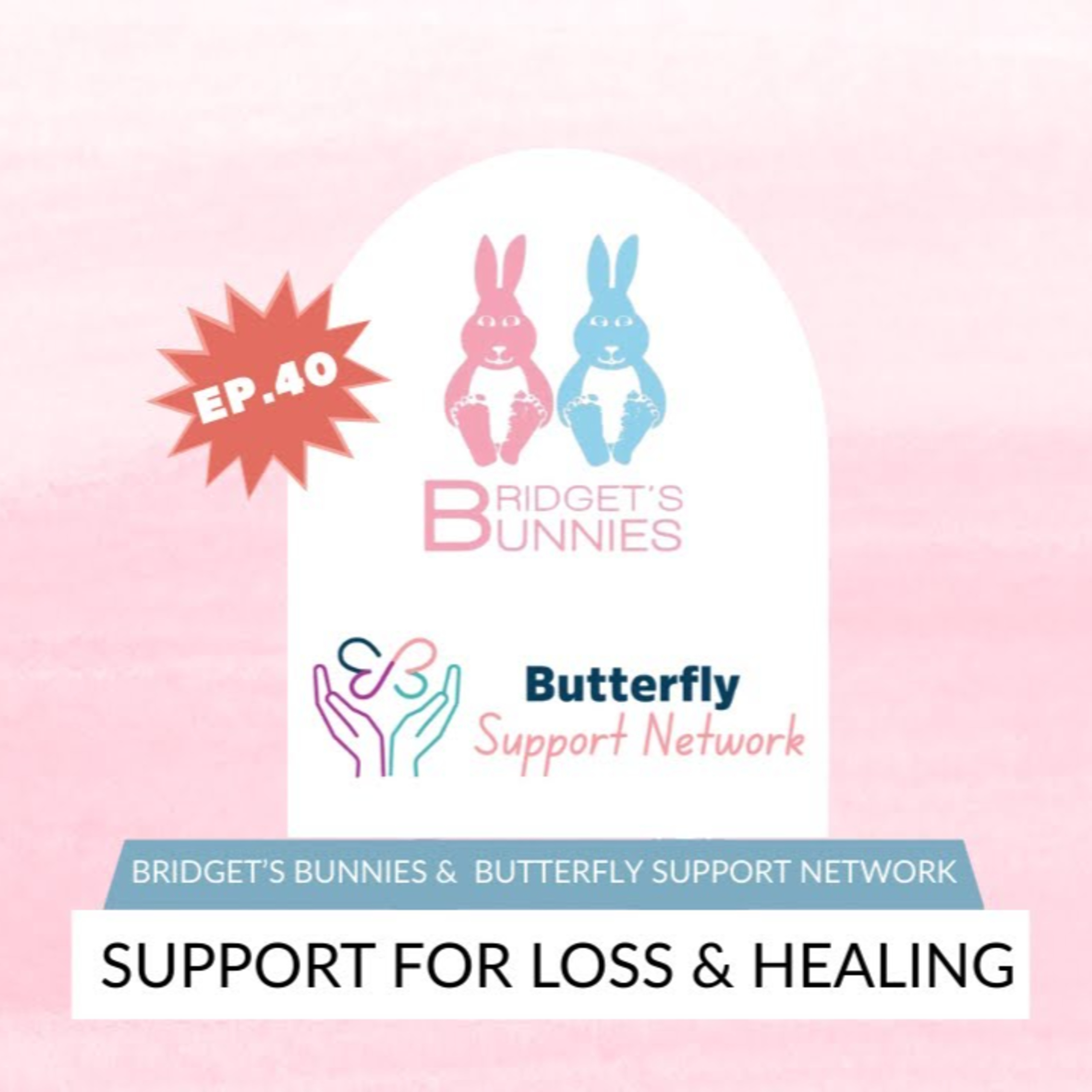 FERTILITY VILLAGE LIVE * Episode 40 * Support for Loss & Healing episode artwork