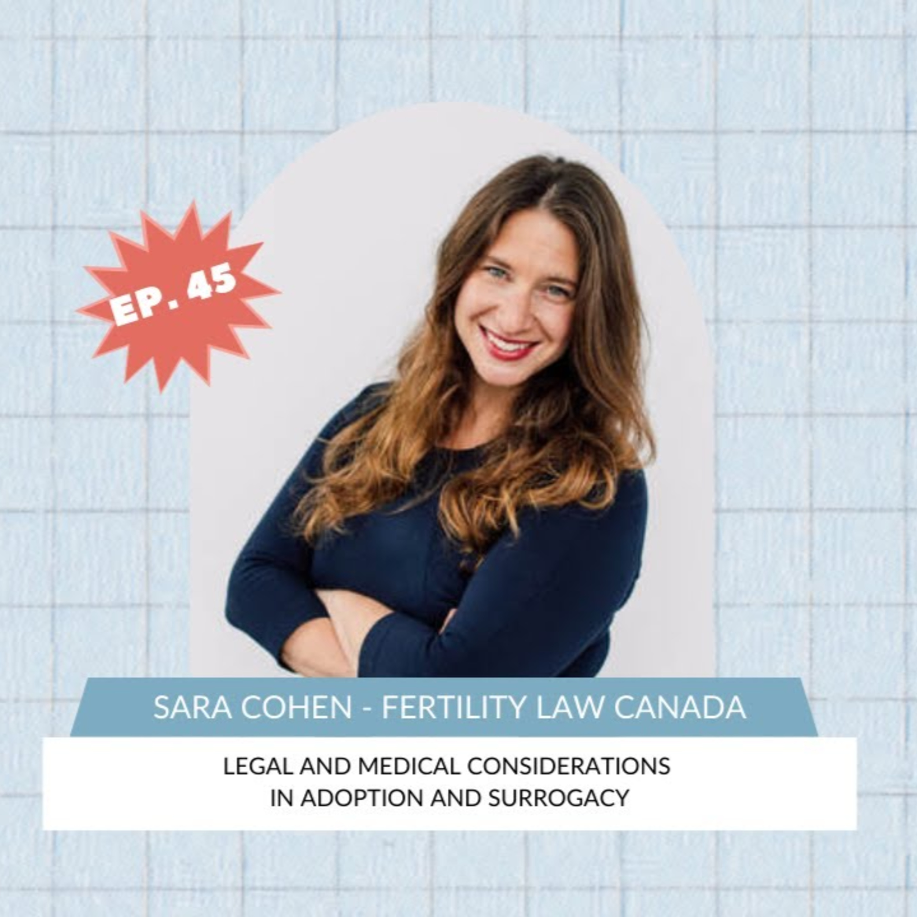 FERTILITY VILLAGE LIVE * Episode 45 * Legal and Medical Considerations in Adoption and Surrogacy episode artwork