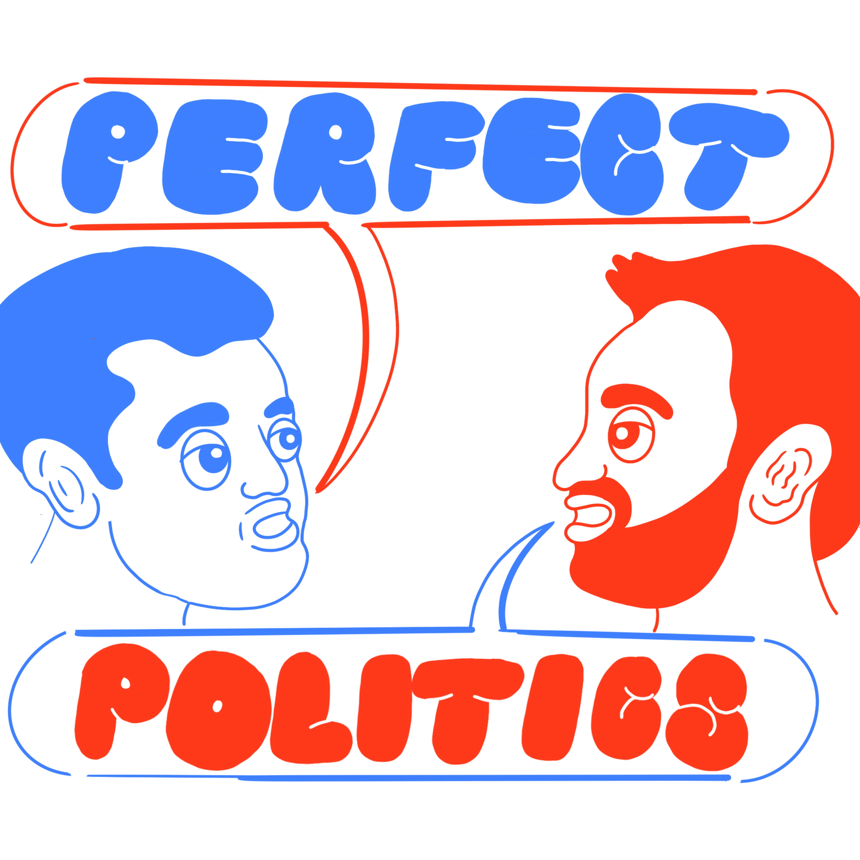 Perfect Politics