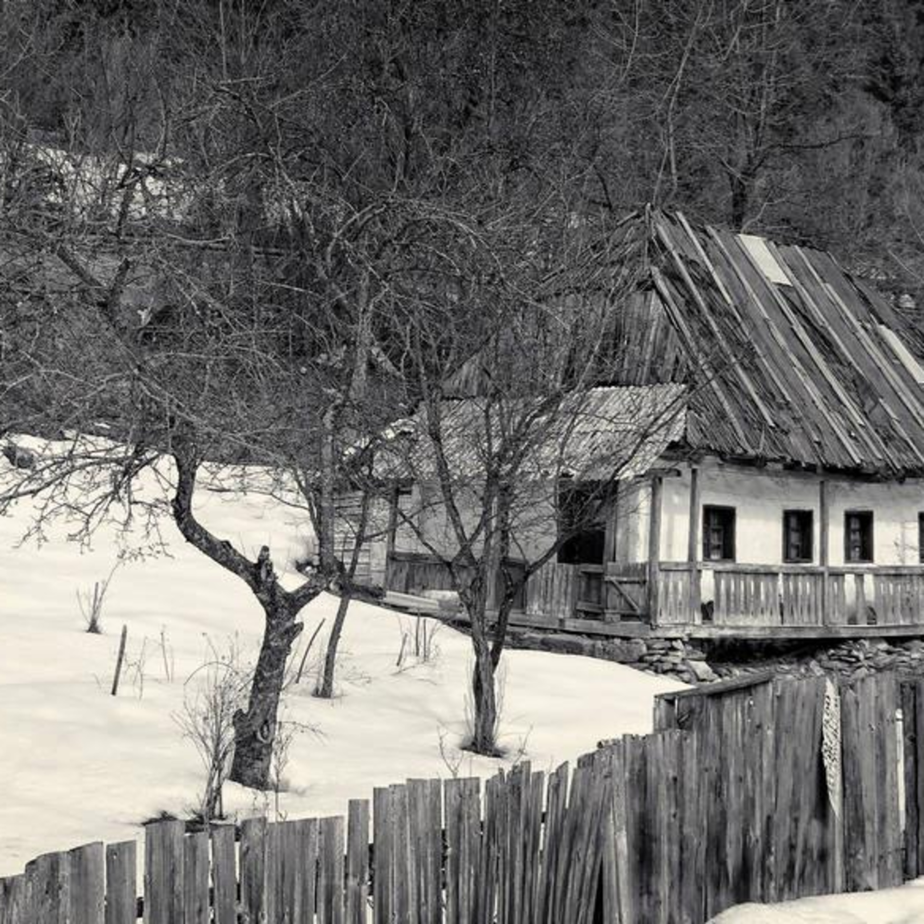 Fekete István: Karácsony és szilveszter között episode artwork
