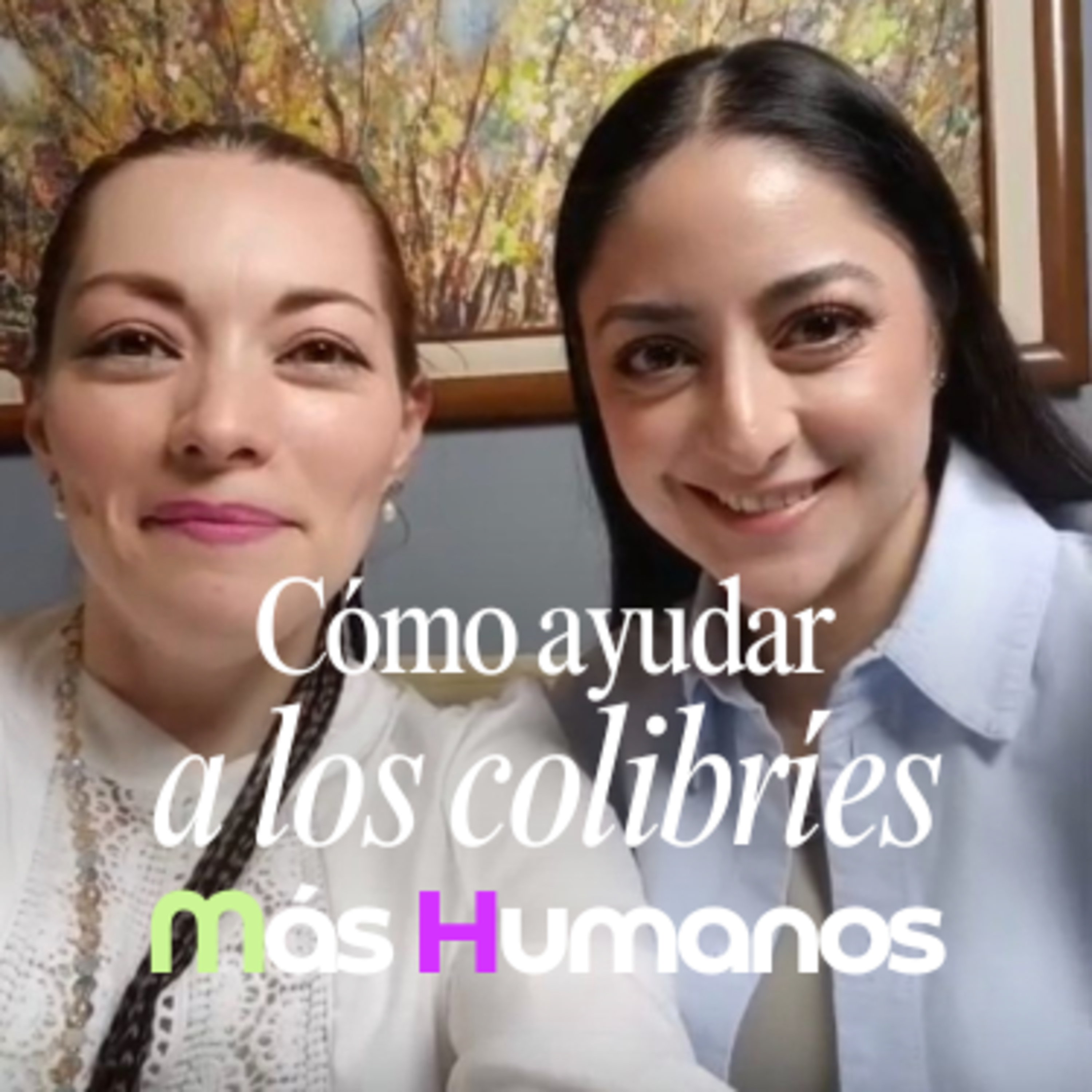 Cómo ayudar a los colibríes | Más Humanos Podcast episode artwork