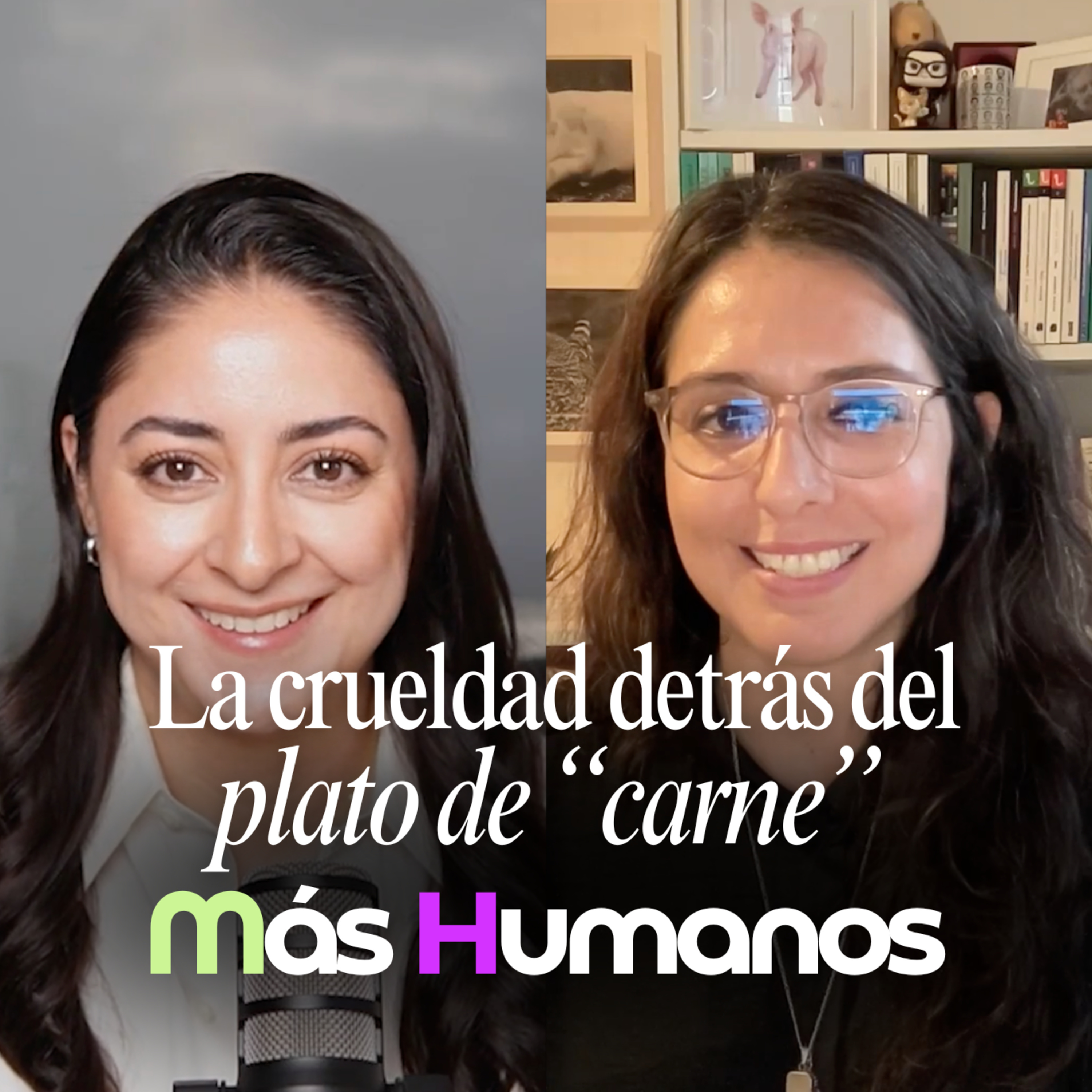 El sufrimiento que te esconde la industria: la verdad detrás de tu plato | Más Humanos Podcast episode artwork
