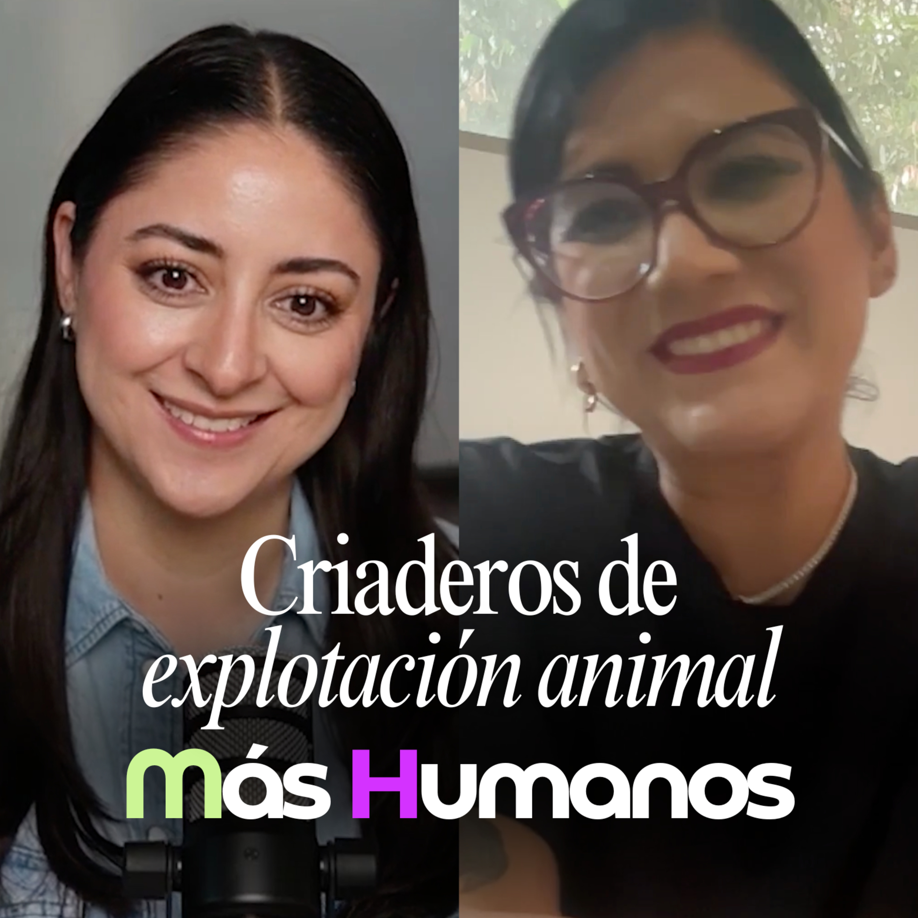 Criaderos de maltrato y autoridades ausentes: Unión y acción de la sociedad civil | Más Humanos episode artwork
