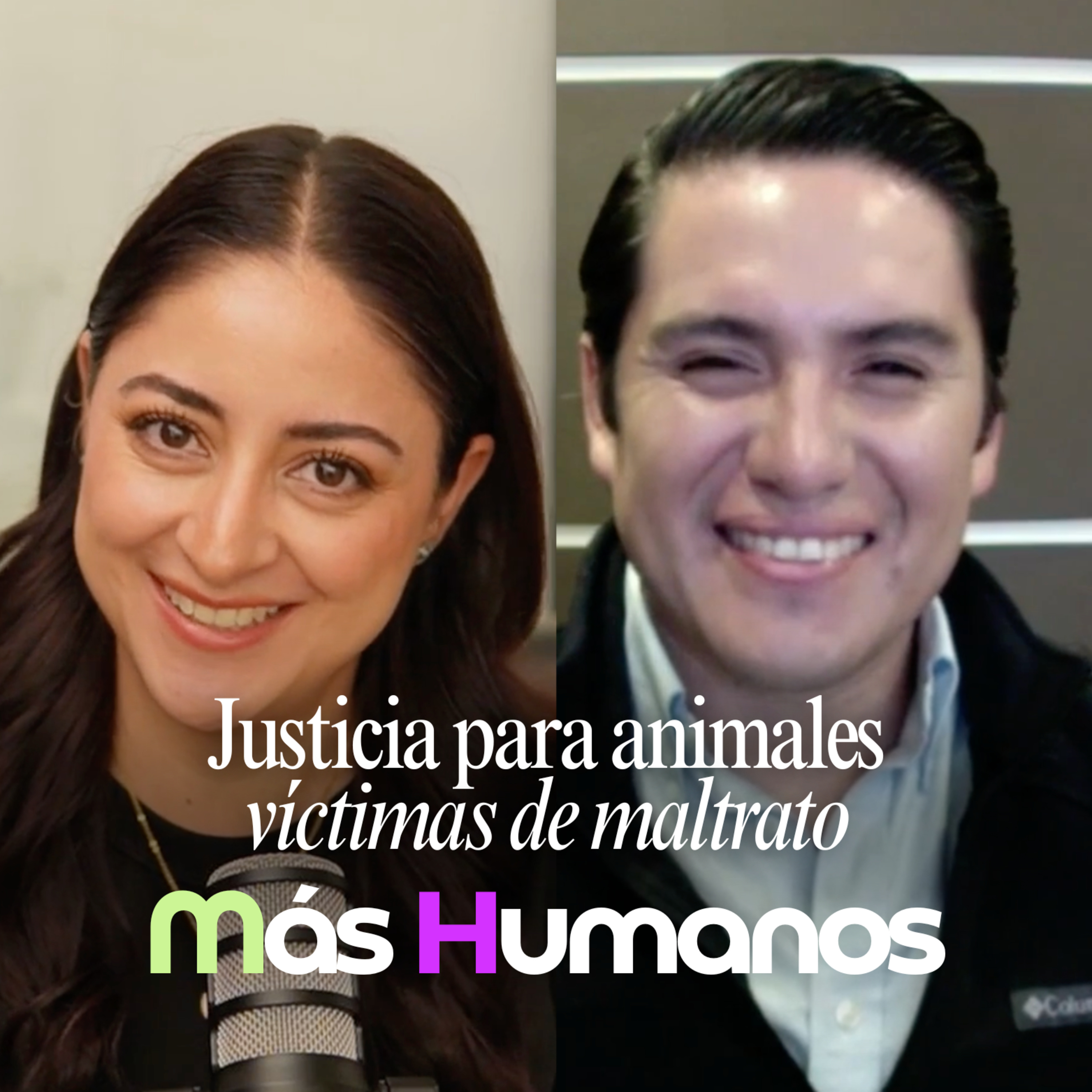 Justicia para los animales que sufren en silencio: tracción, esclavitud, explotación y maltrato. episode artwork