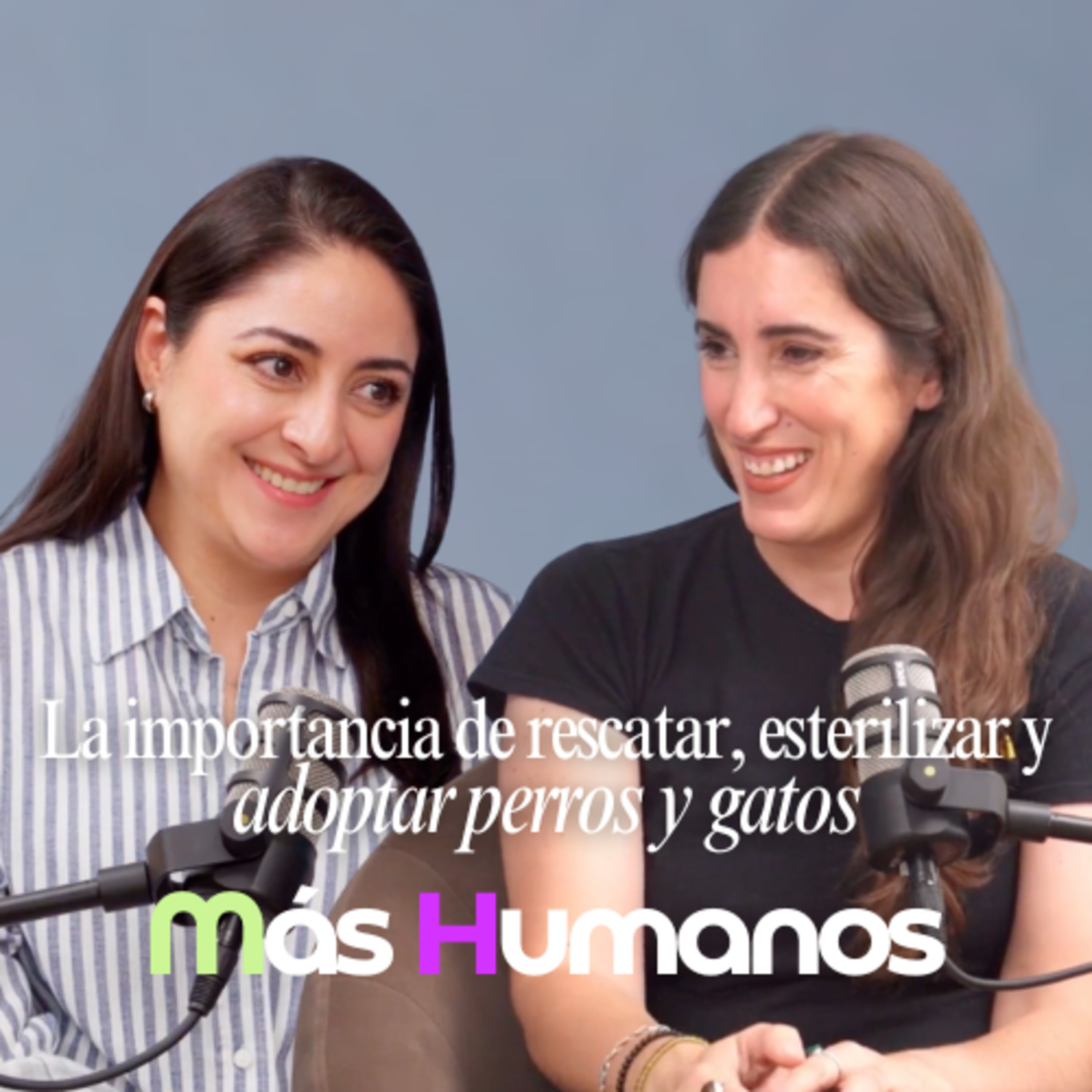 Adoptar con conciencia: para combatir el maltrato con la adopción responsable con Josune Luquin de Adoptist | Más Humanos episode artwork